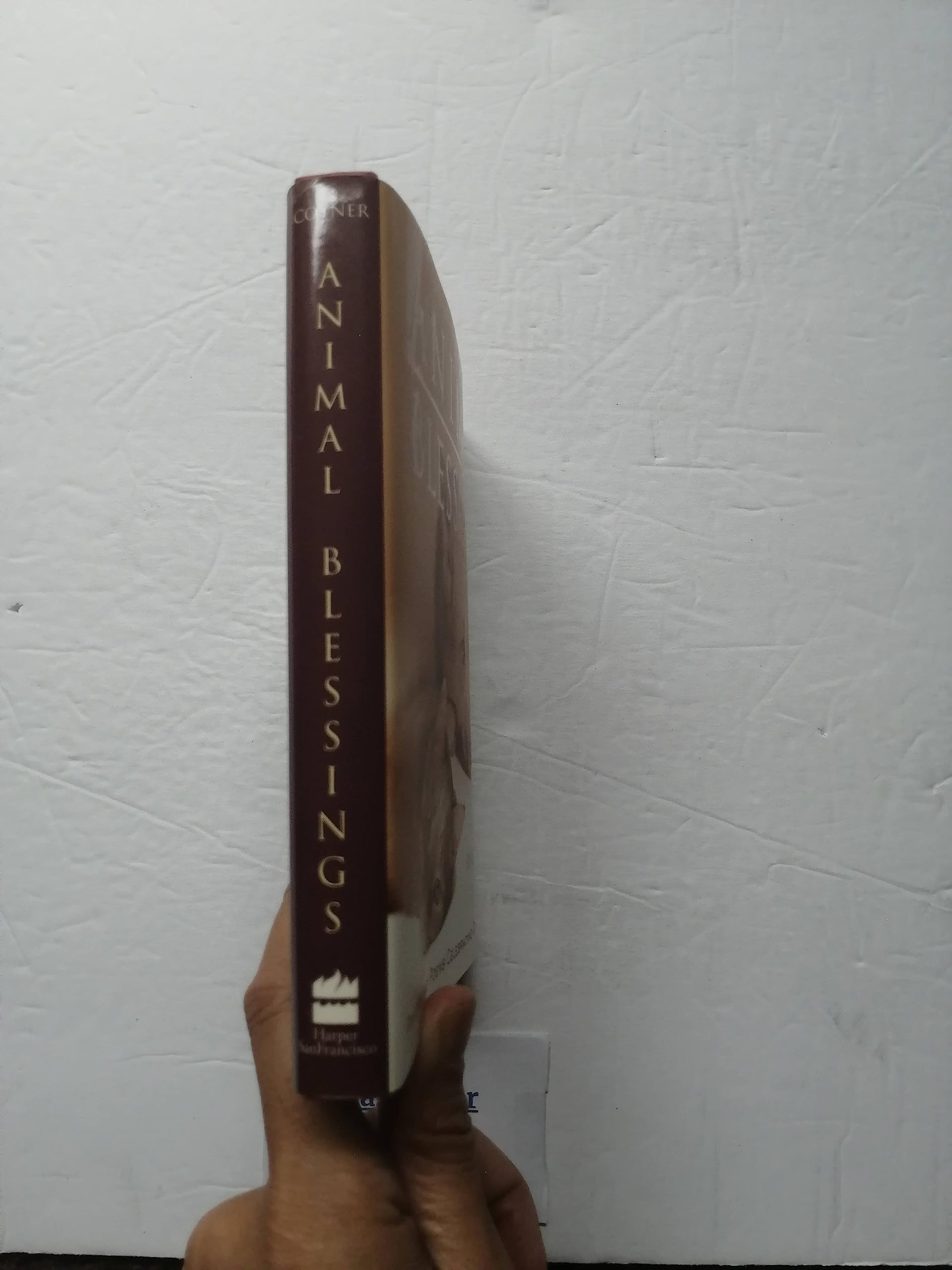 Animal Blessings: Prayers and Poems Celebrating Our Pets