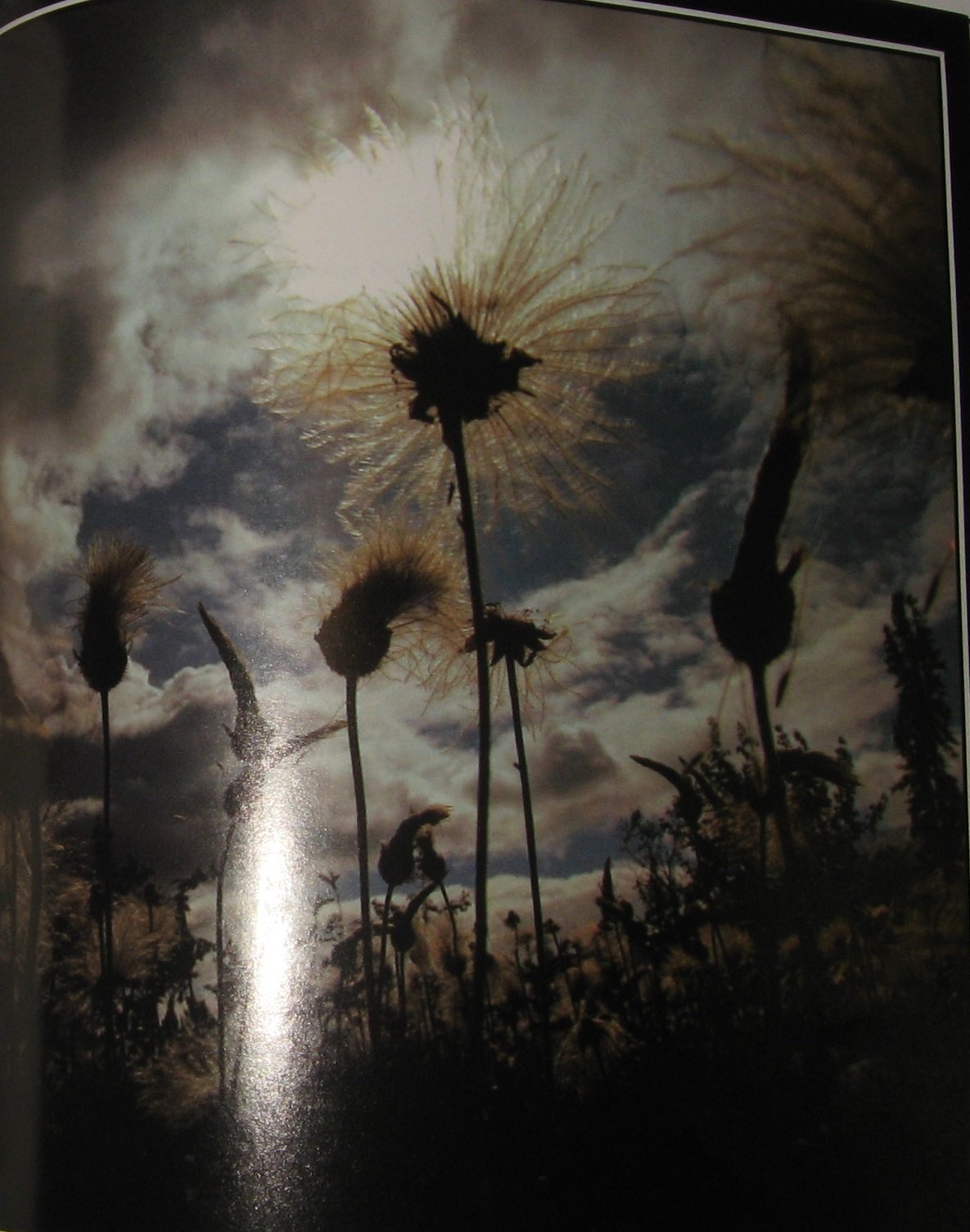 PT03