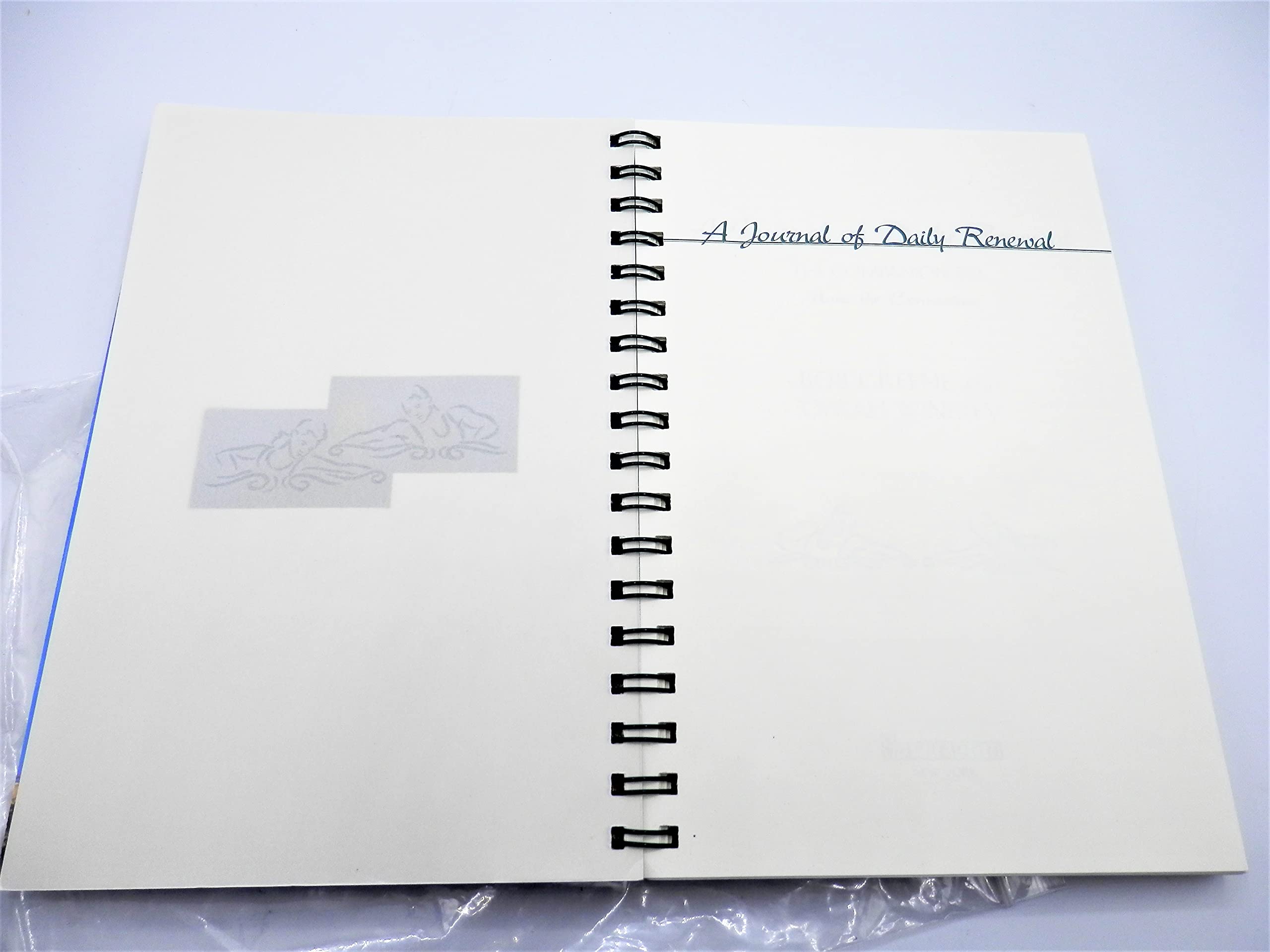 The Journal of Daily Renewal: The Companion to Make the Connection