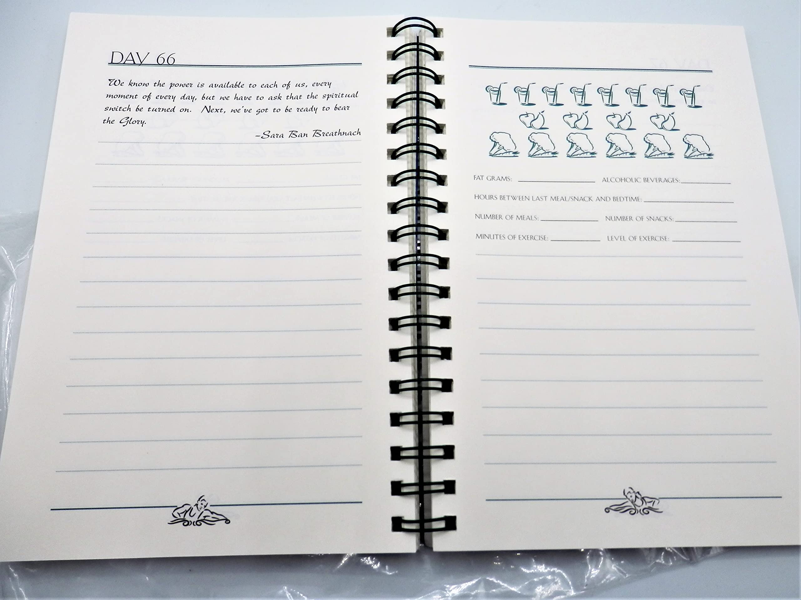 The Journal of Daily Renewal: The Companion to Make the Connection