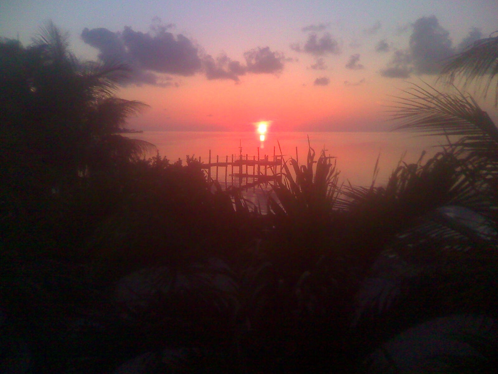 Battlefield: Farming a Civil War Battleground