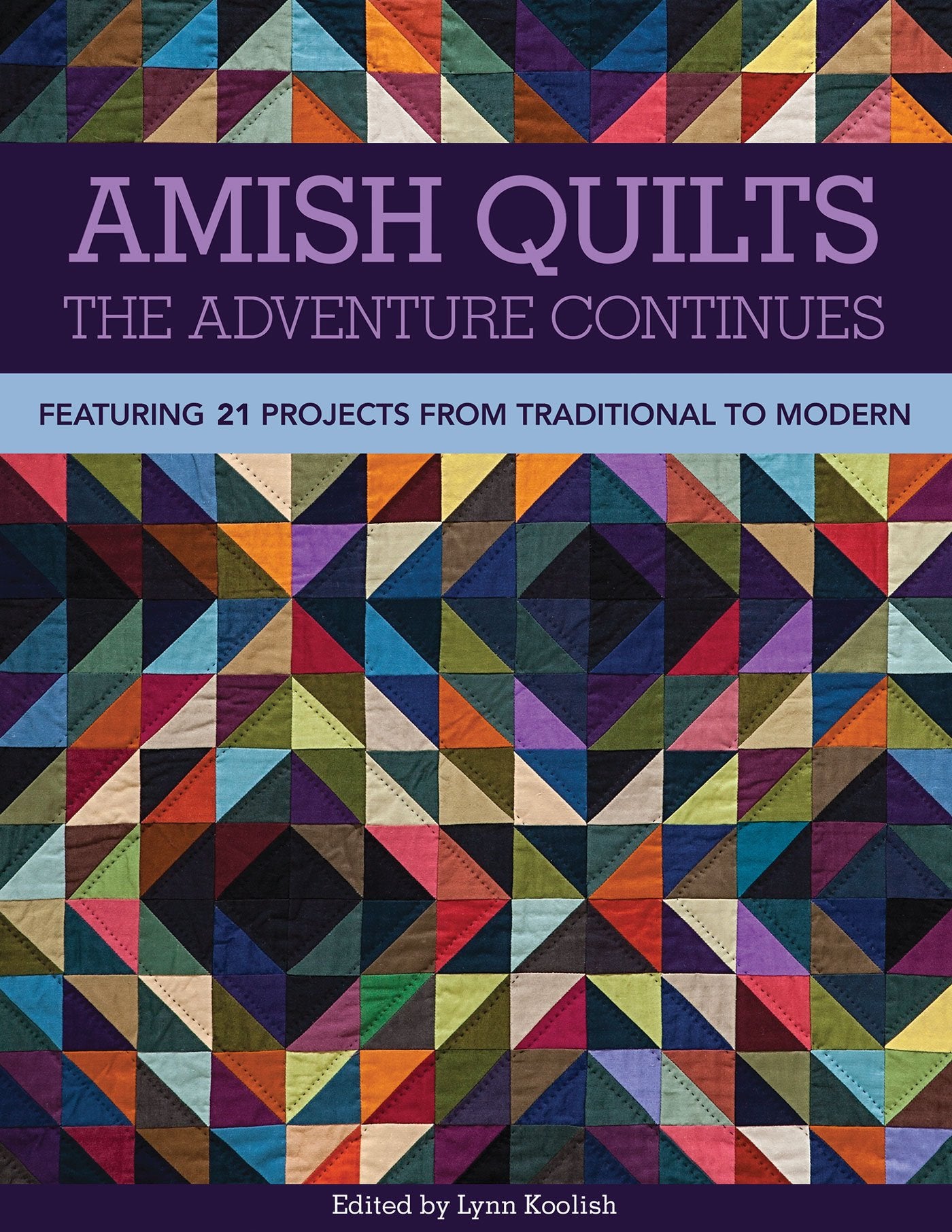 Amish Quilts―The Adventure Continues: Featuring 21 Projects from Traditional to Modern