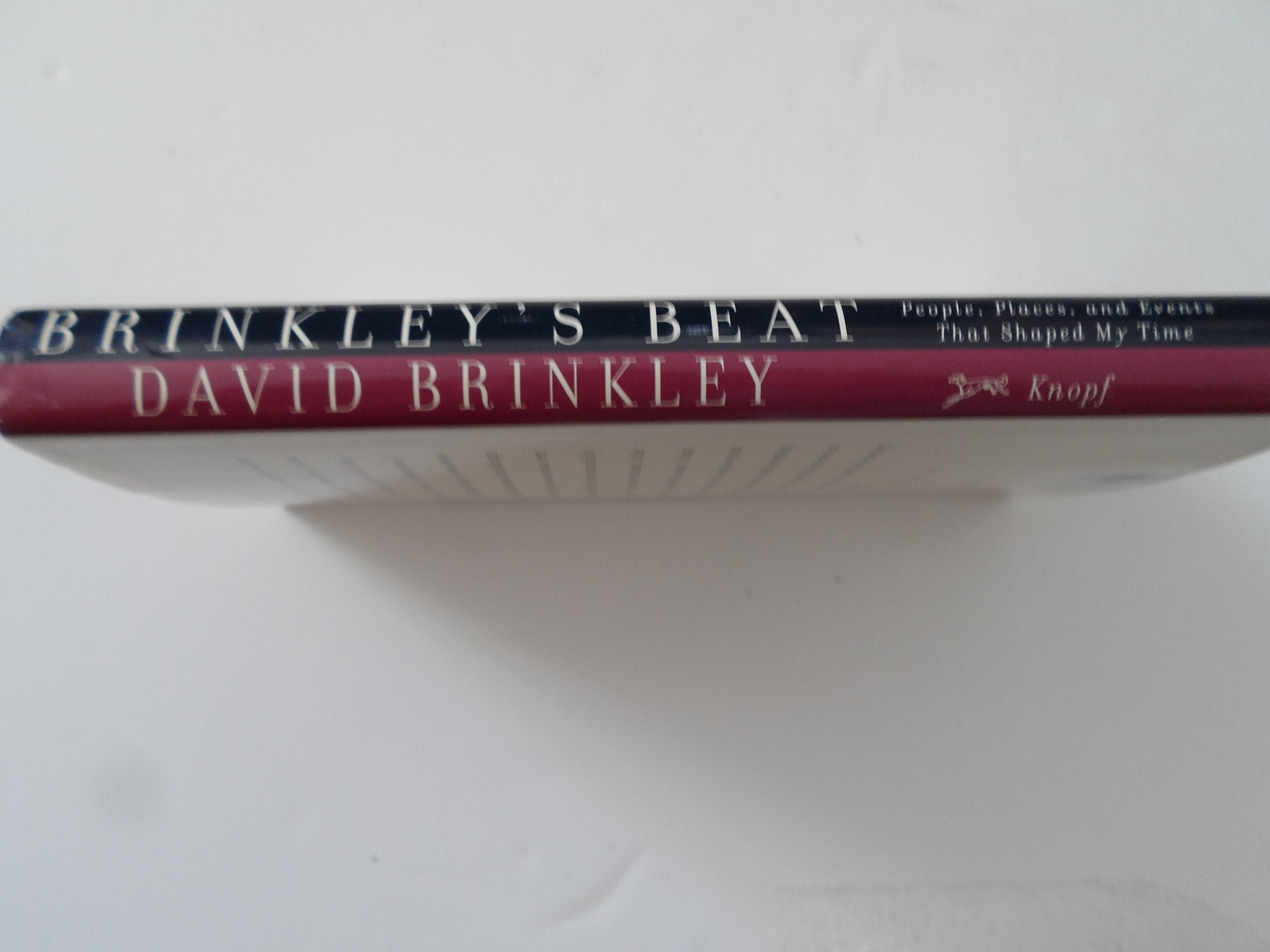 Brinkley's Beat: People, Places, and Events That Shaped My Time