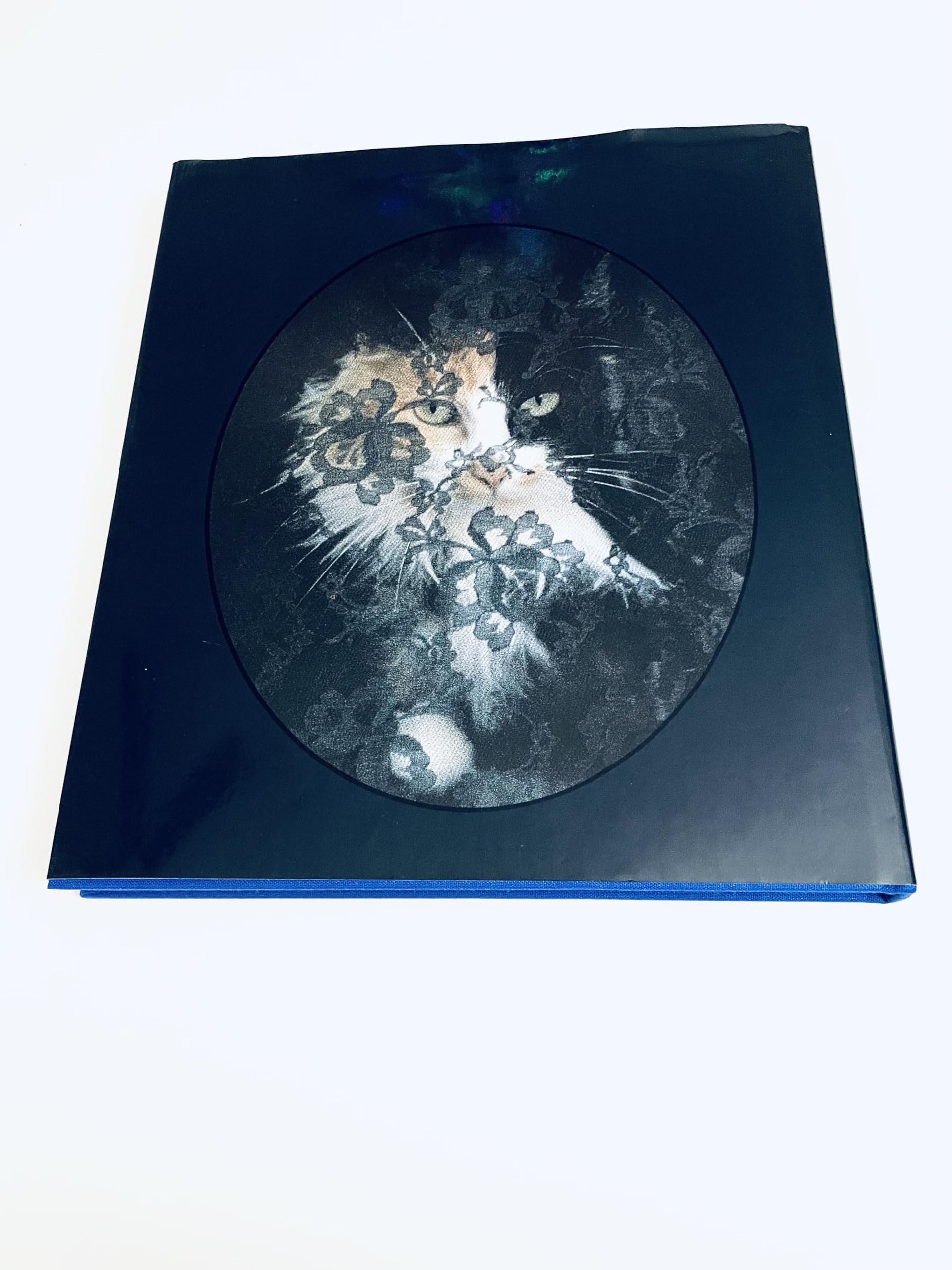 PT01