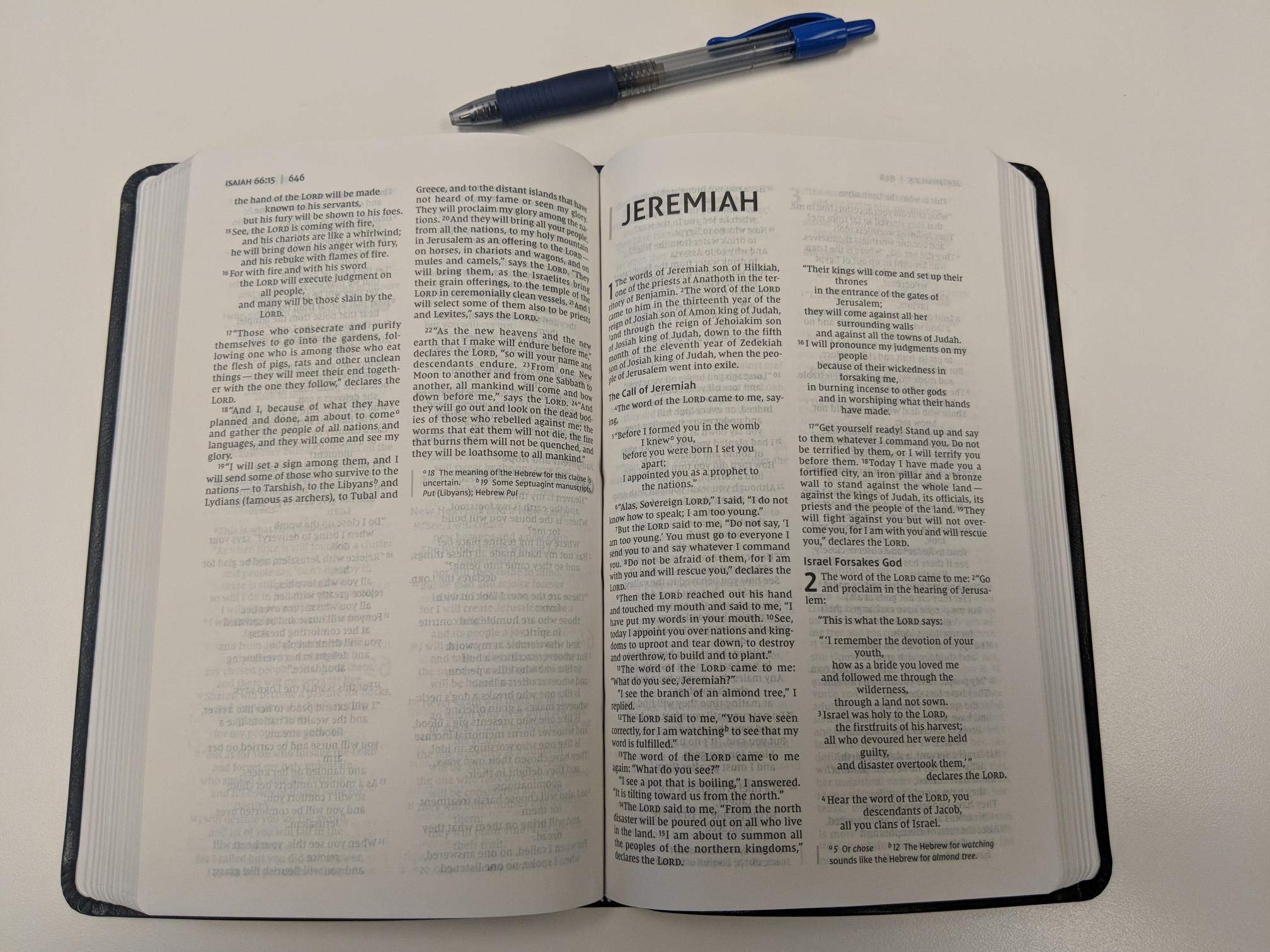 NIV, Thinline Bible, Bonded Leather, Black, Red Letter Edition