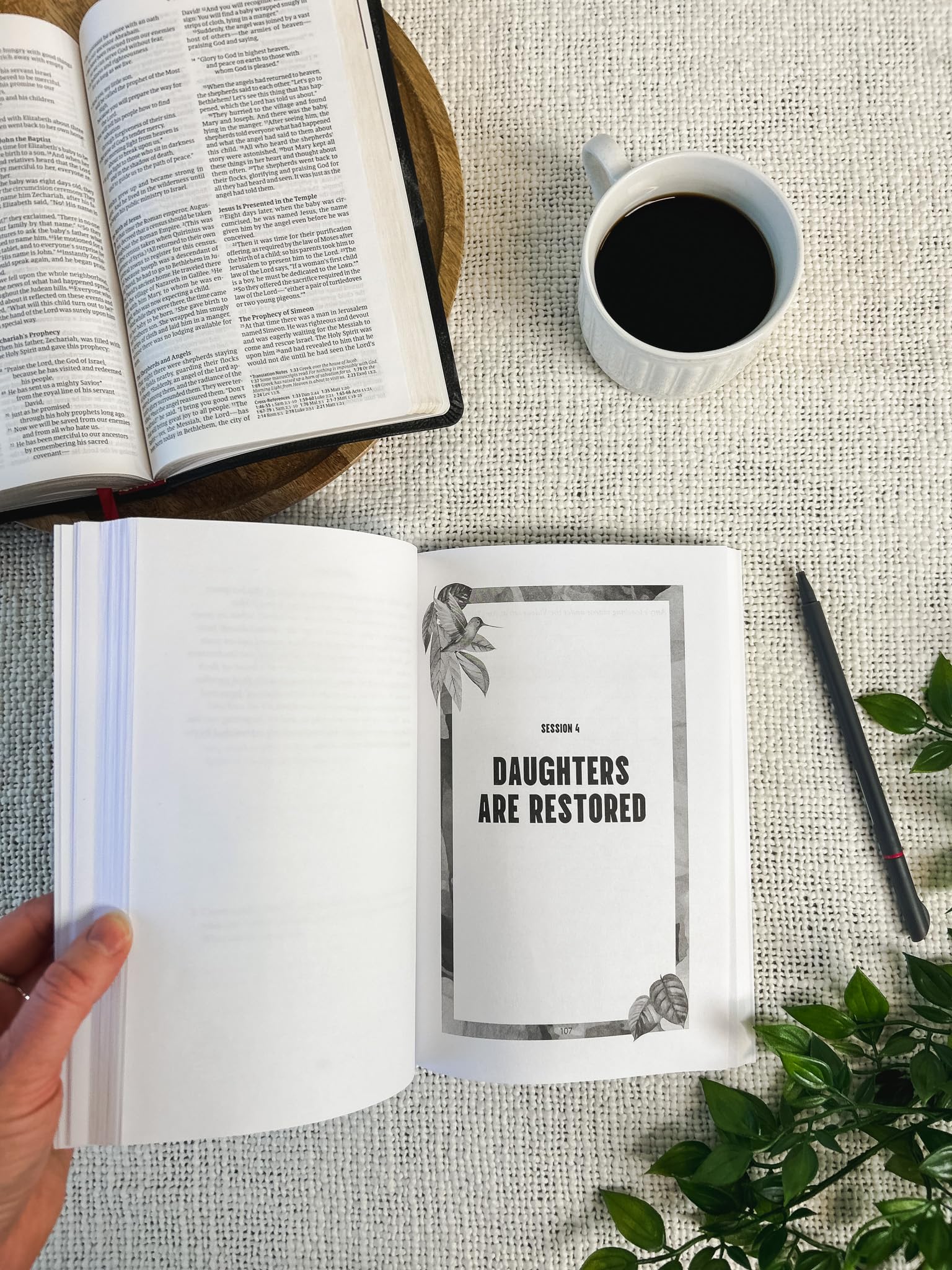 Your Name Is Daughter Bible Study: What the Unsung Women of the Bible Teach Us about Our Worth―6 Session Guide with Bonus Videos for Individuals or Groups (See Jesus Defend & Depend upon Wome