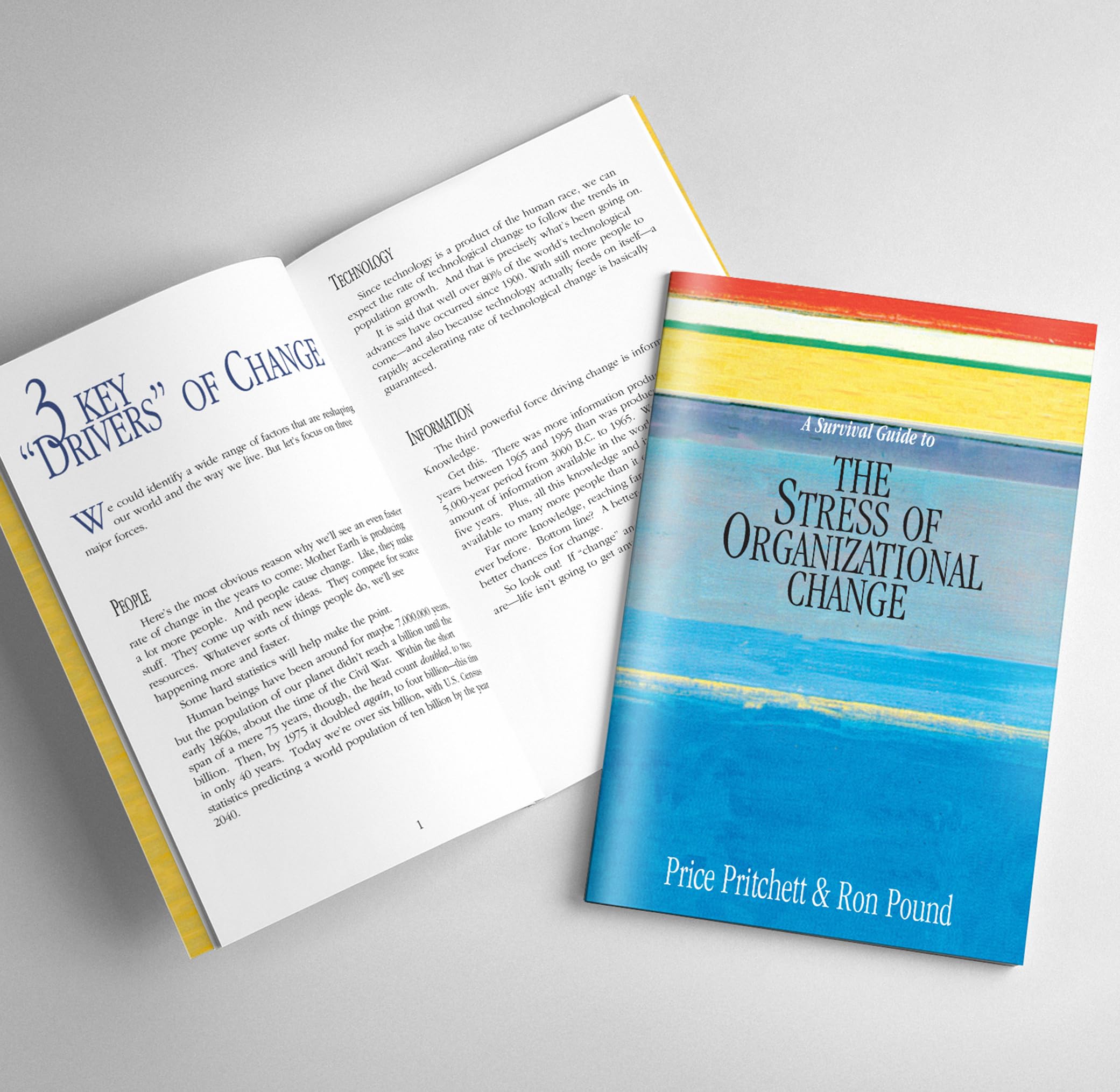 A Survival Guide to the Stress of Organizational Change