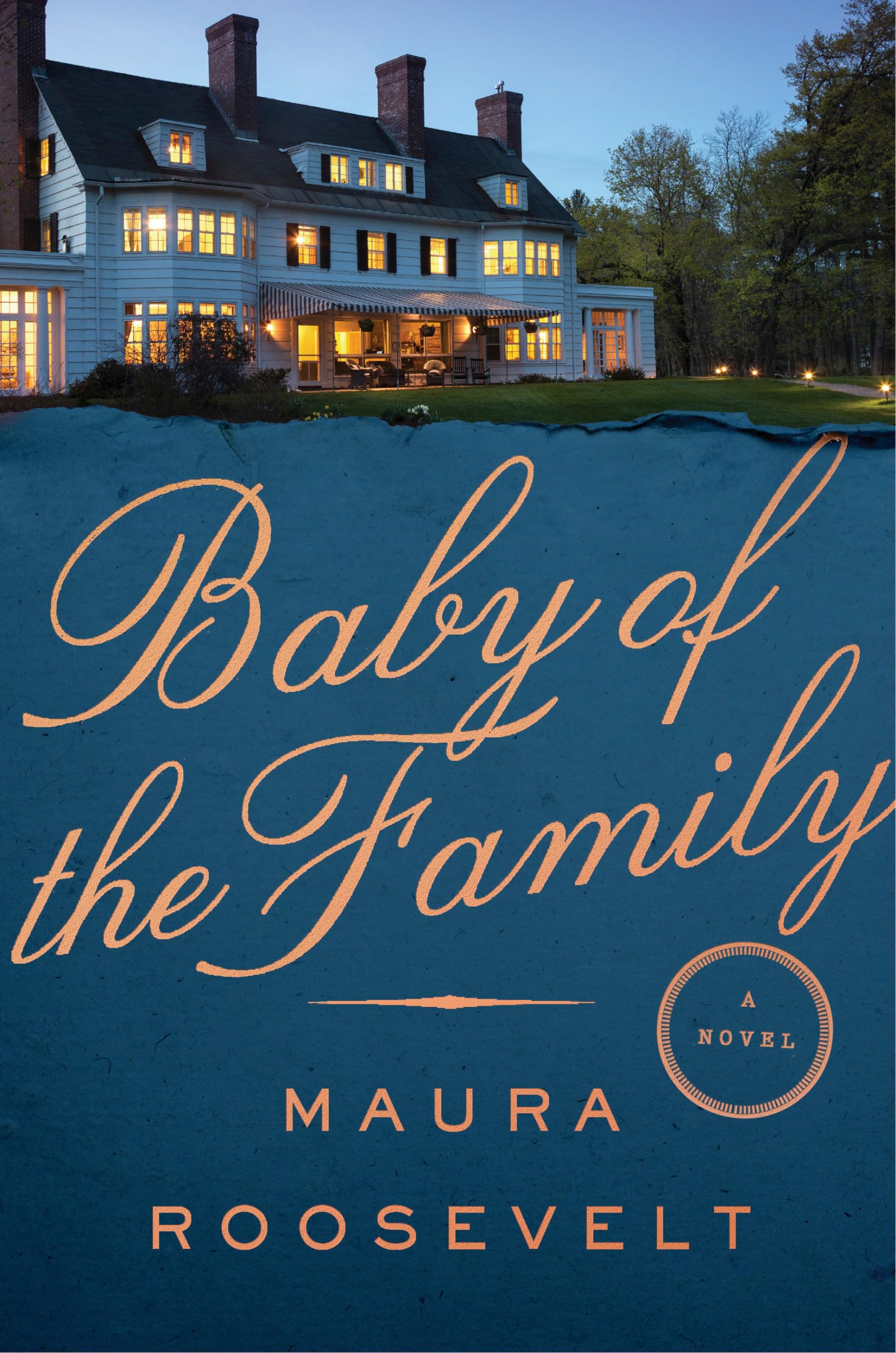 Baby of the Family: A Novel