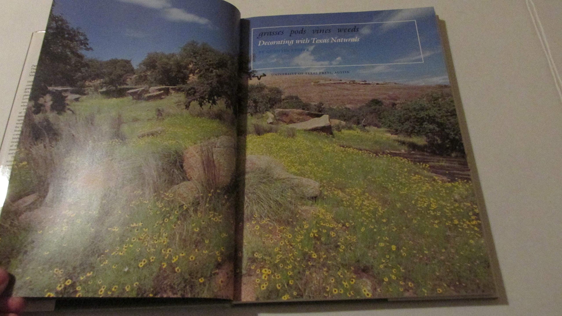 PT01