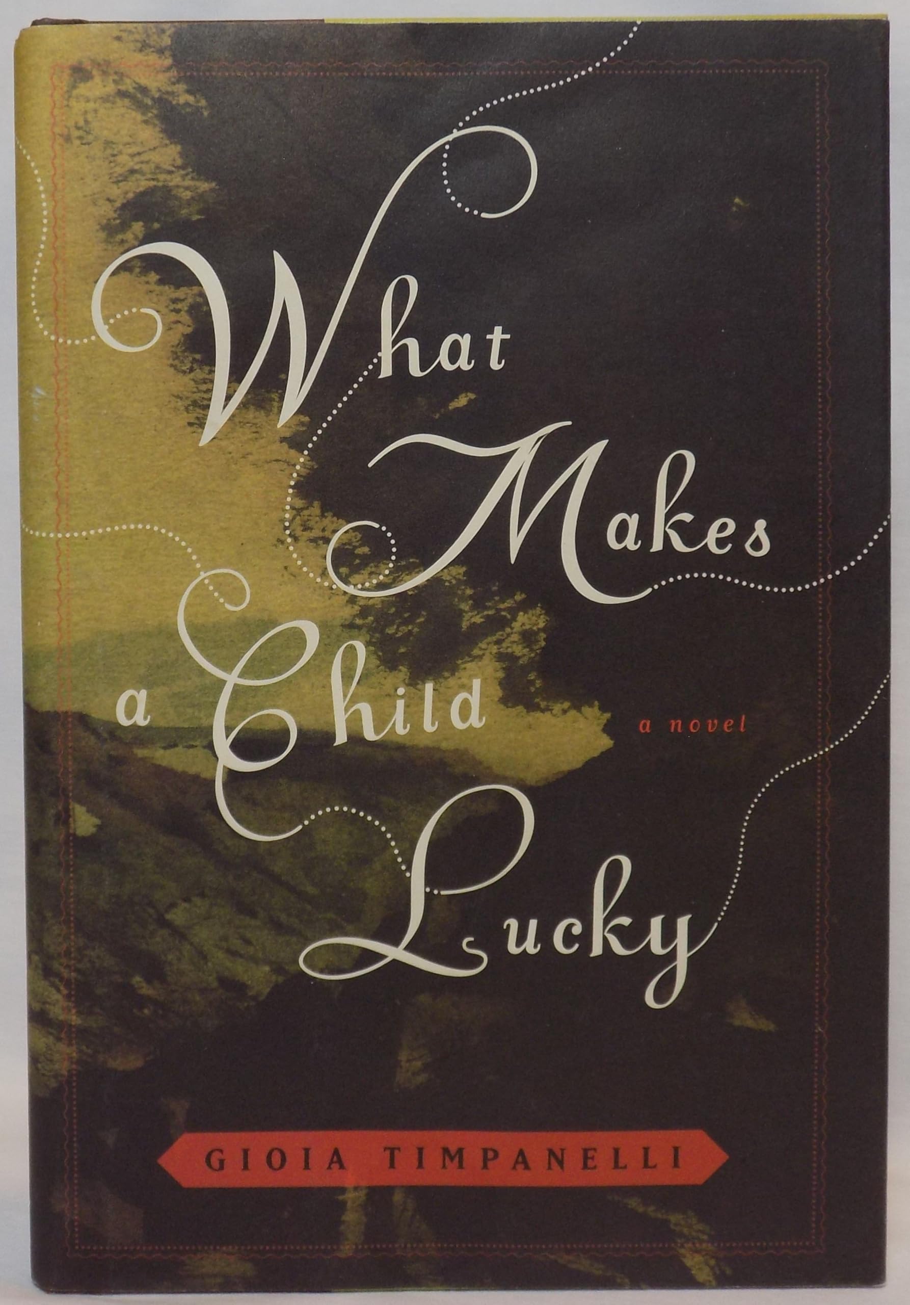 What Makes a Child Lucky: A Novel
