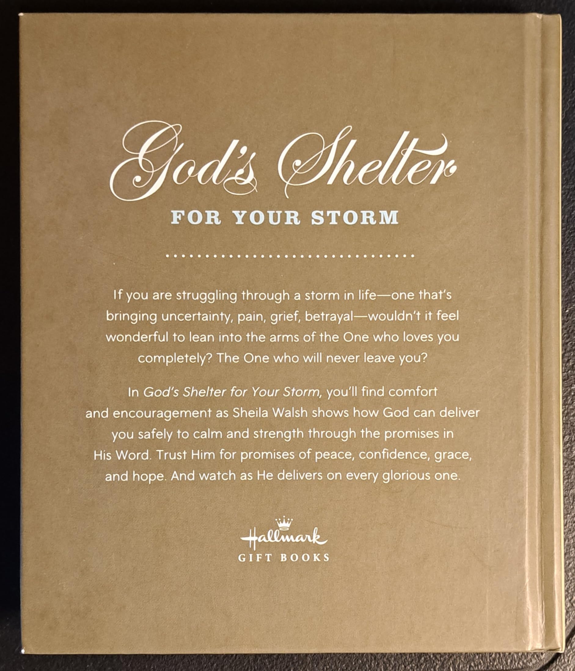 God's Shelter For Your Storm