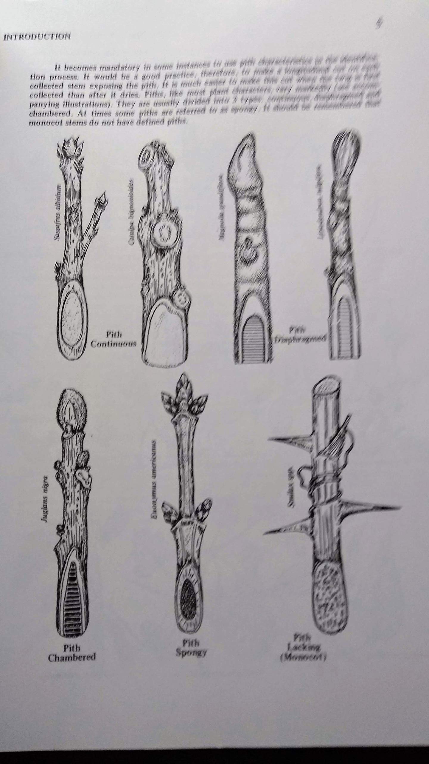 PT03