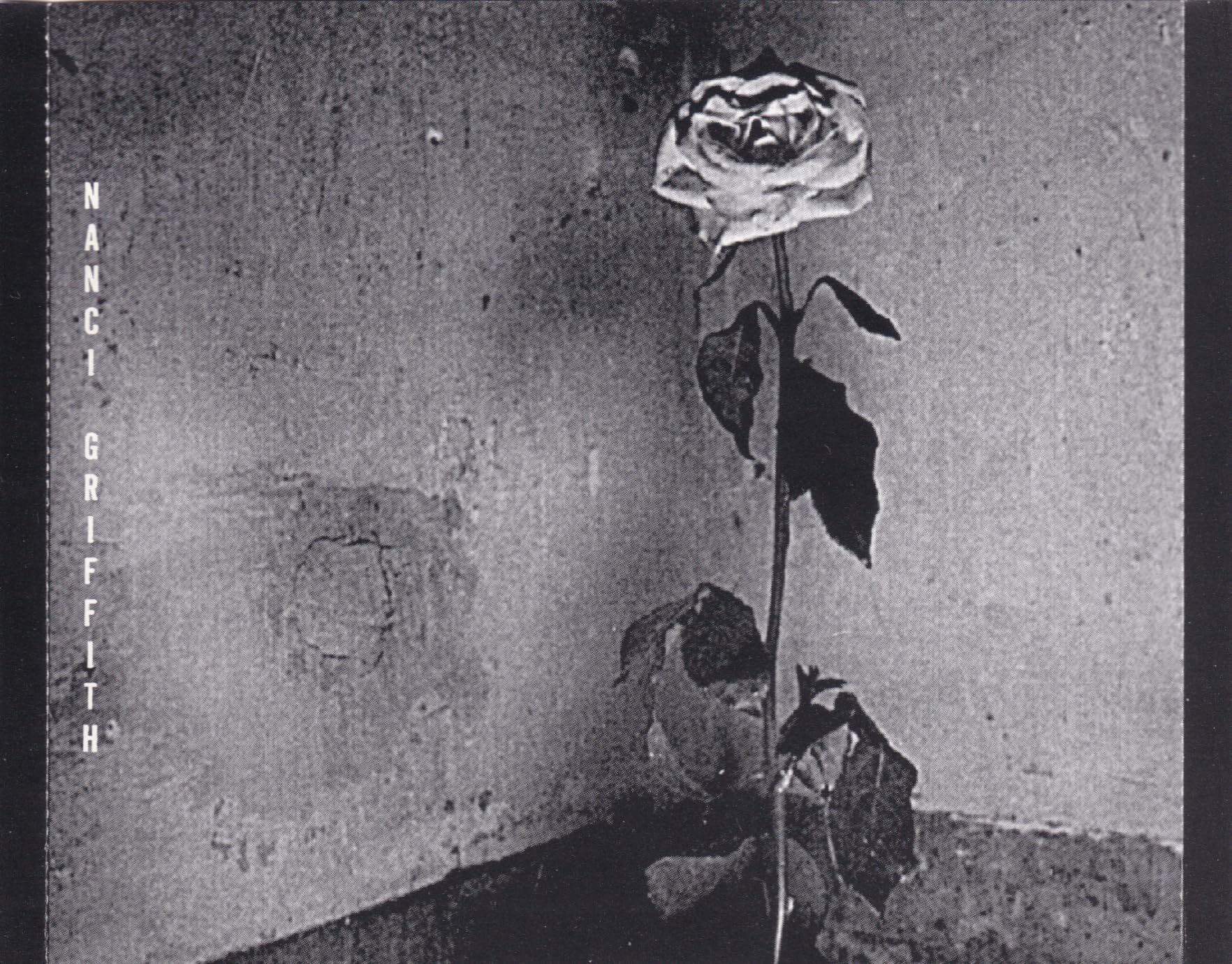 Blue Roses From the Moons