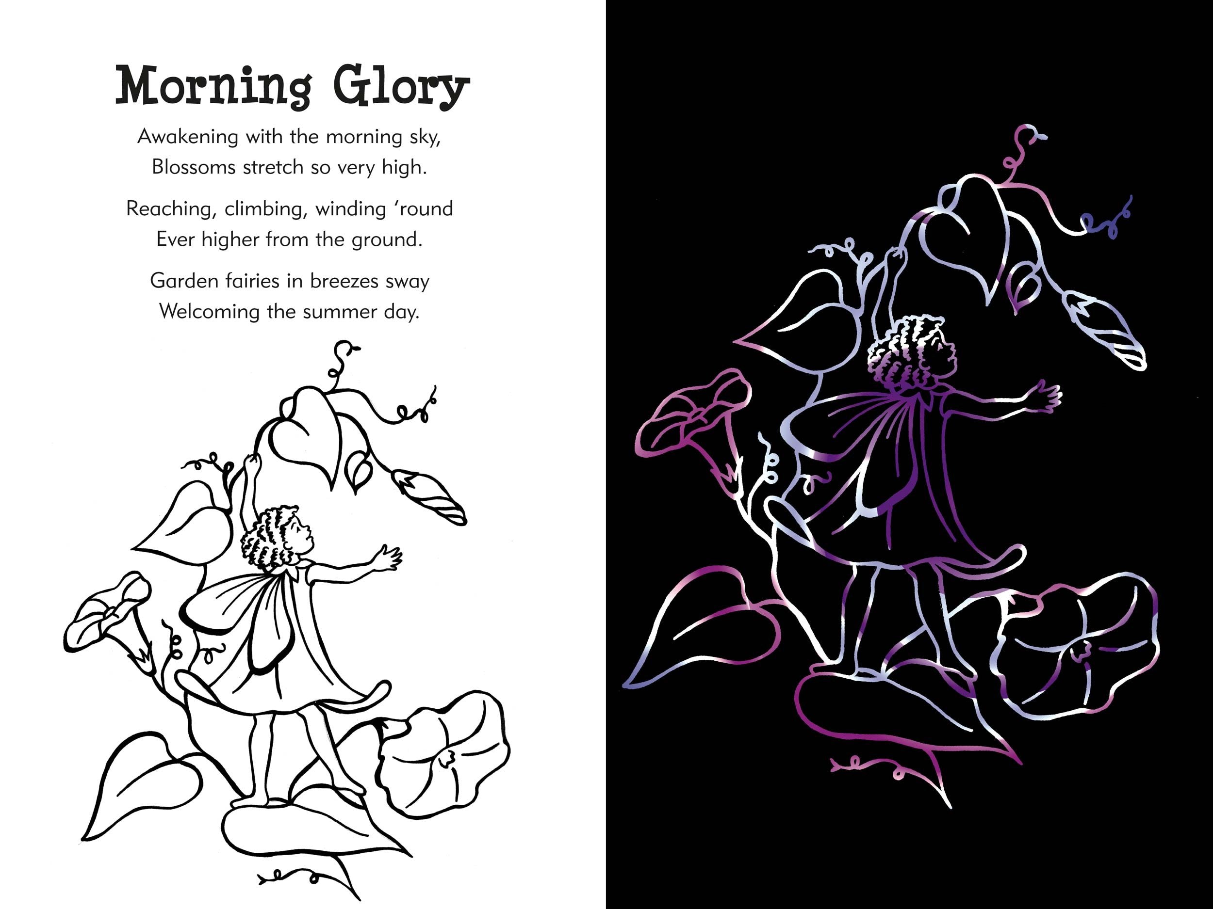 Garden Fairies Scratch and Sketch: An Art Activity for Magical Artists and Believers of All Ages (Scratch & Sketch)