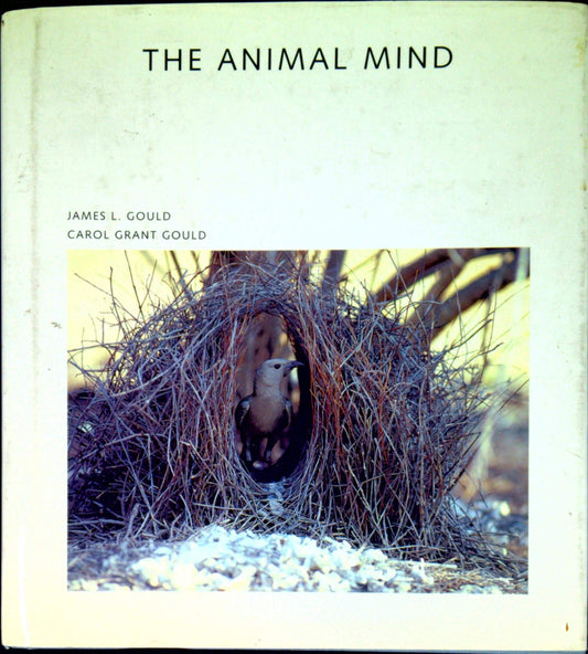 The Animal Mind Scientific American Library Gould, James L and Gould, Carol Grant