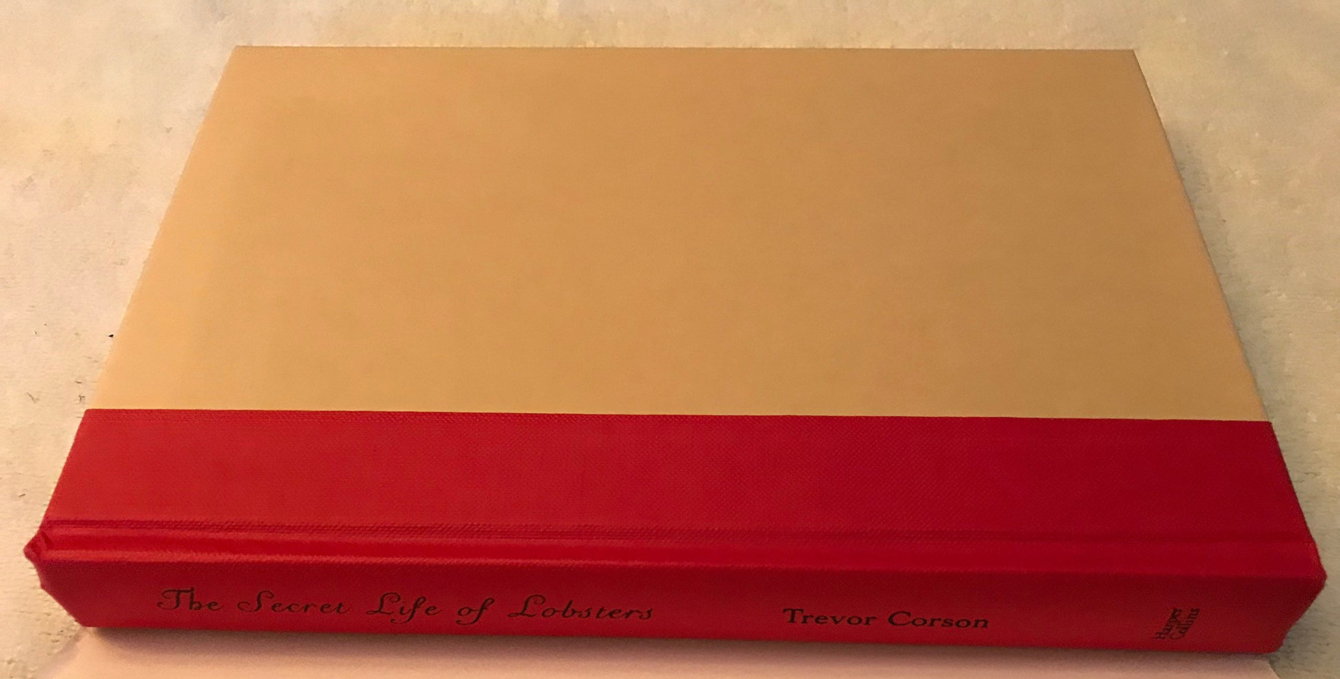 PT02