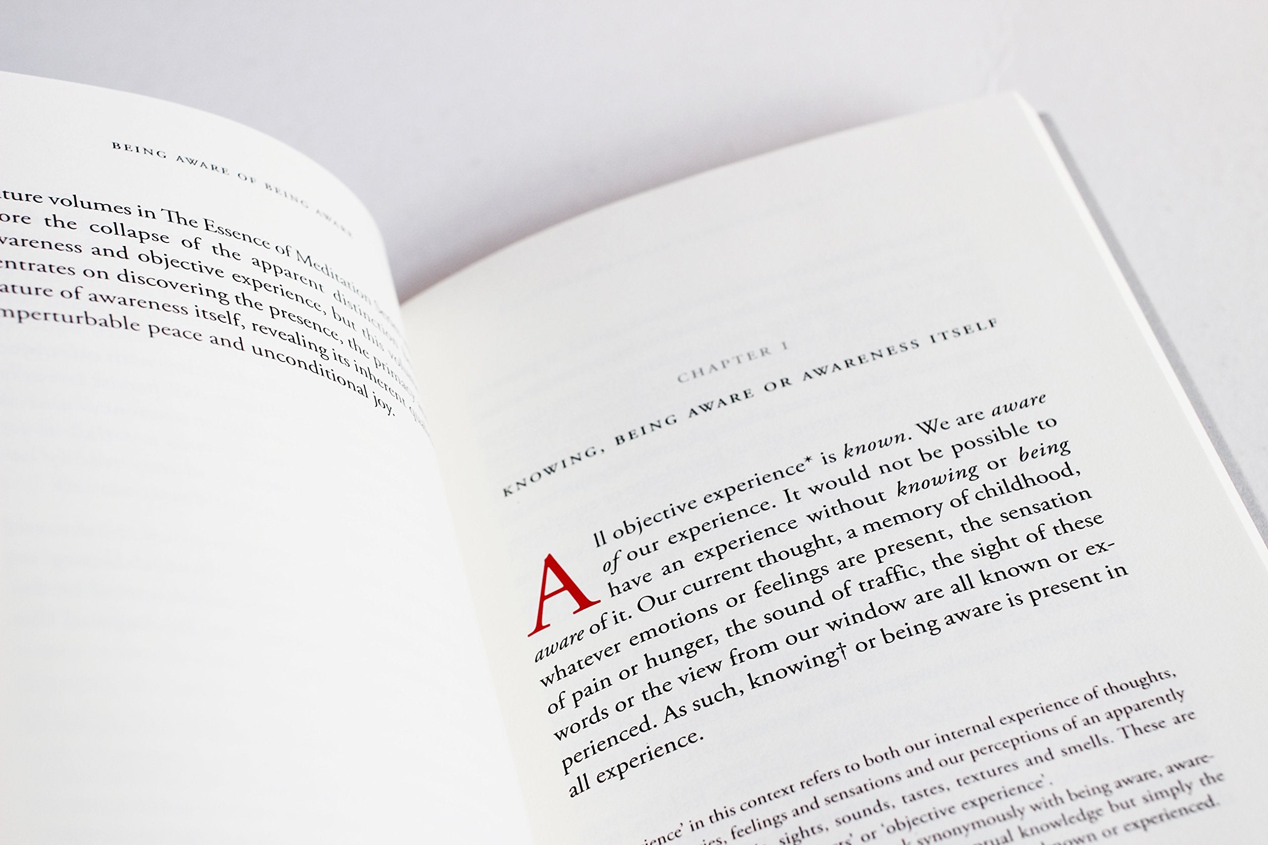 Being Aware of Being Aware (The Essence of Meditation Series)