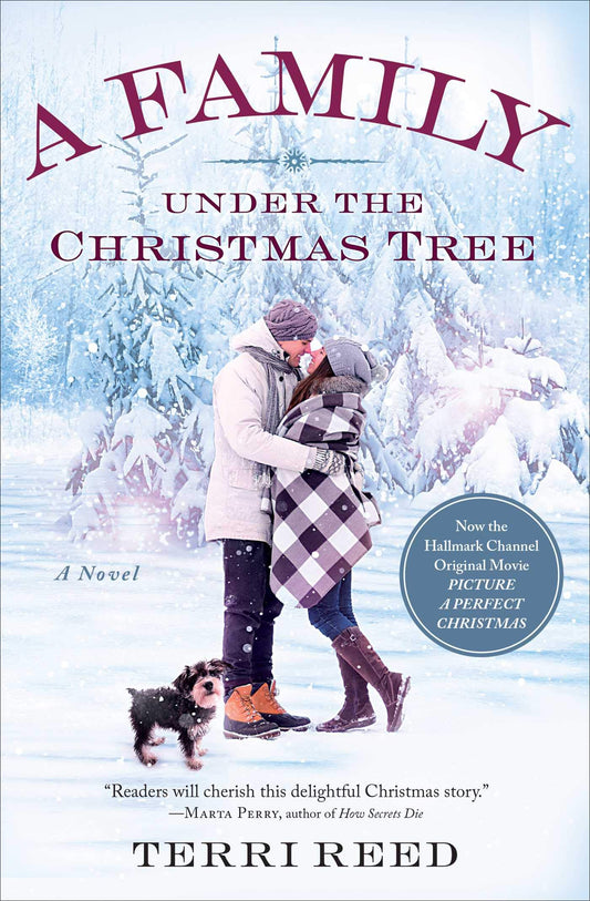A Family Under the Christmas Tree: A Novel [Paperback] Reed, Terri