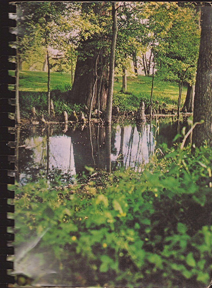 Bayou Cuisine: Its Tradition and Transition