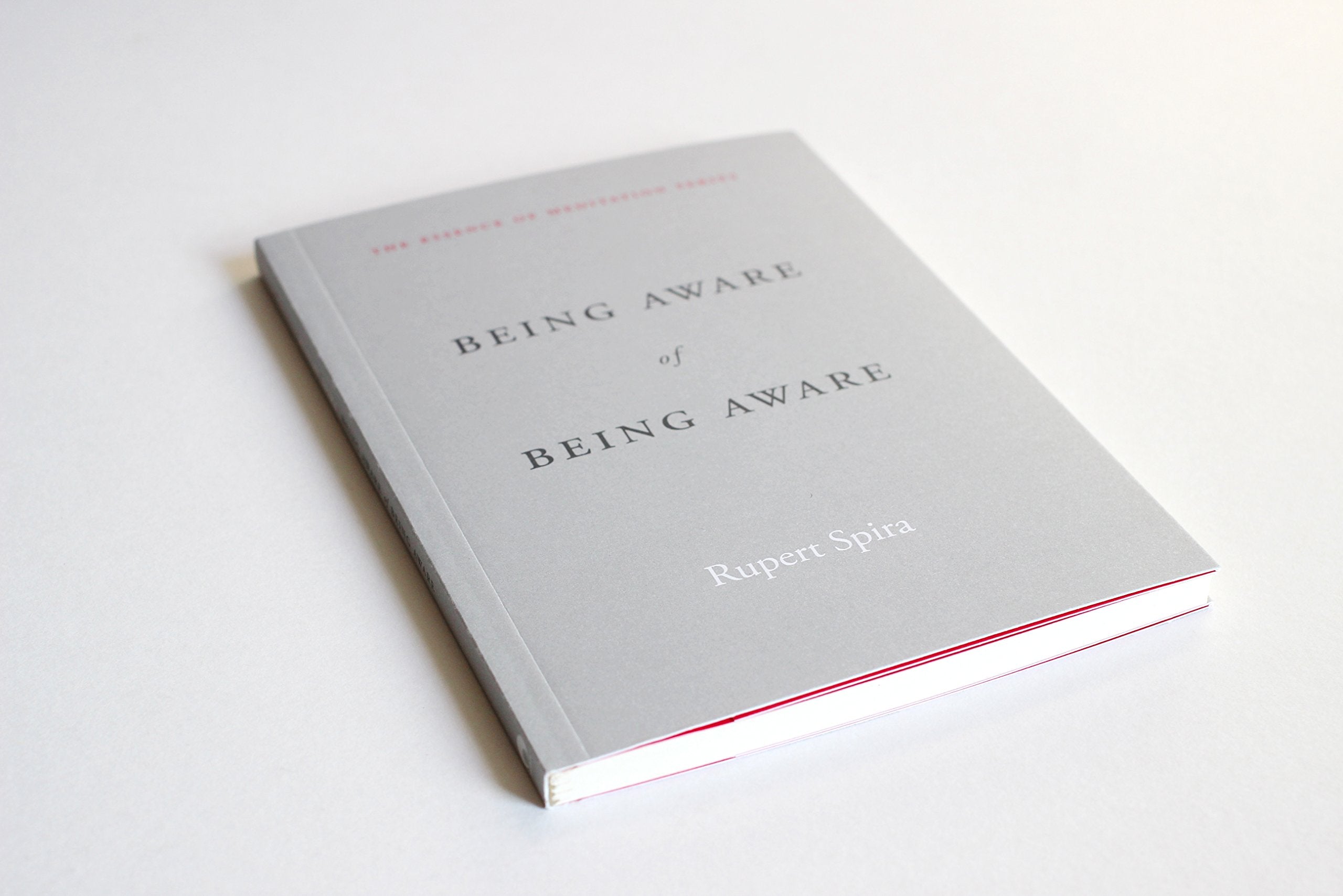 Being Aware of Being Aware (The Essence of Meditation Series)