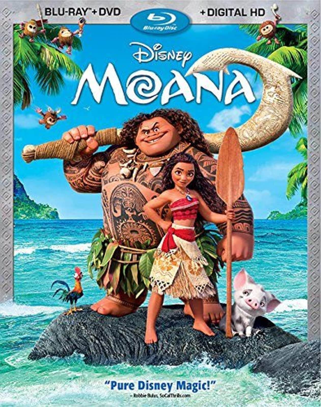 MAIN