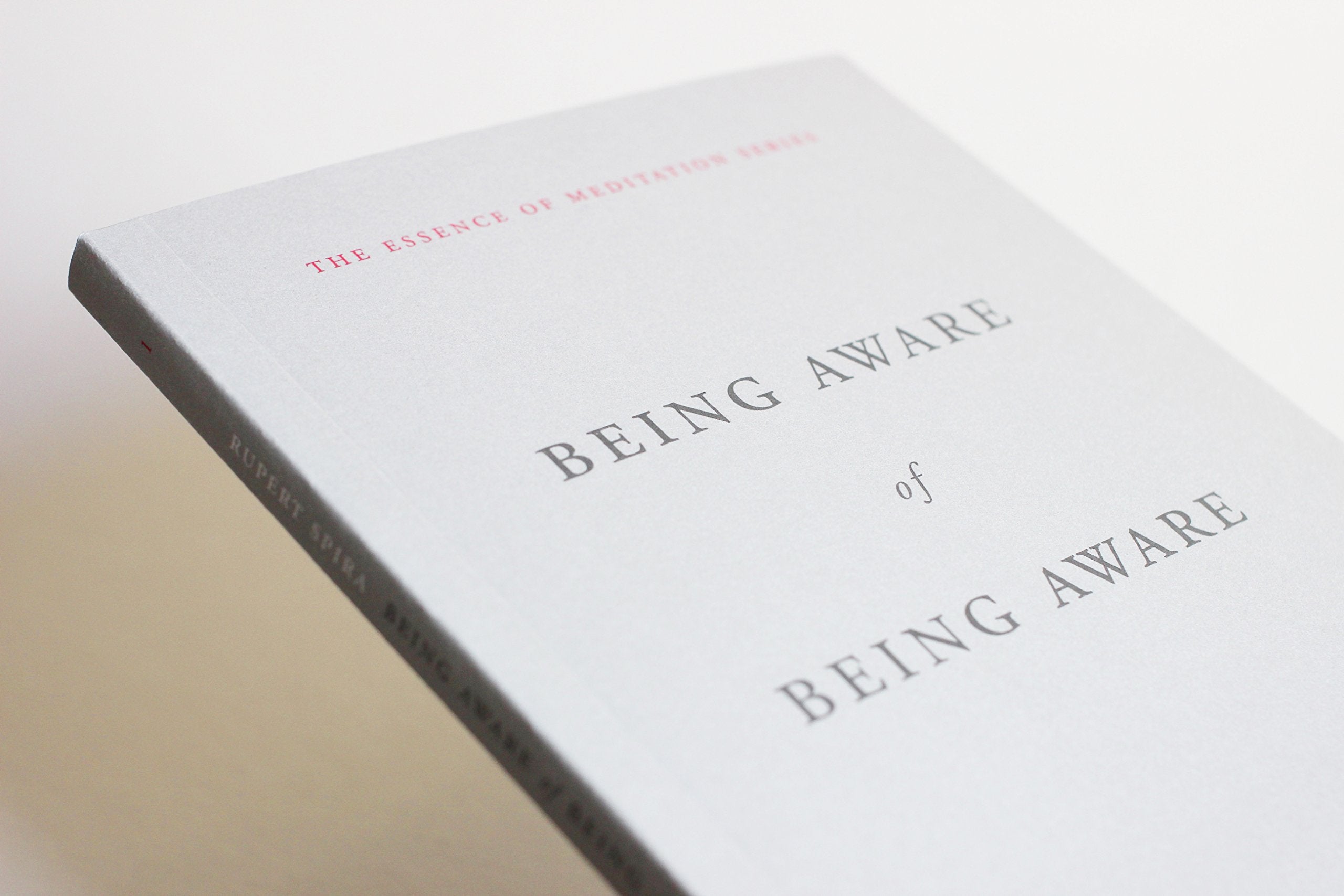 Being Aware of Being Aware (The Essence of Meditation Series)