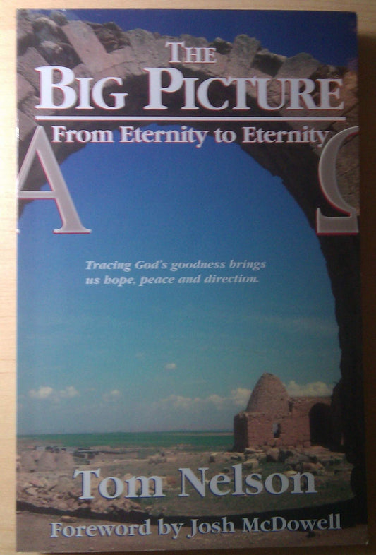 The Big Picture [Paperback] Nelson, Tom
