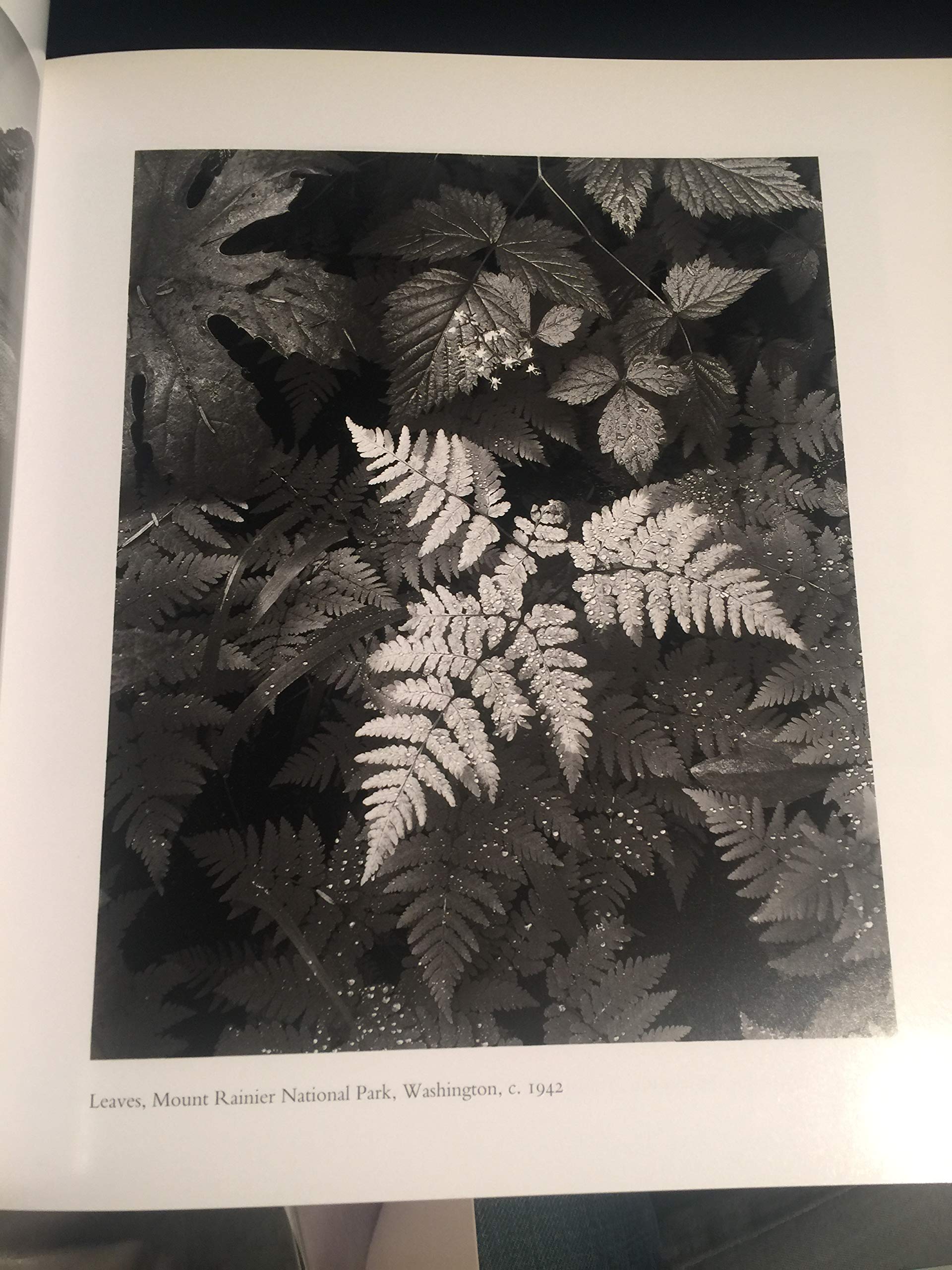 Ansel Adams: Our National Parks