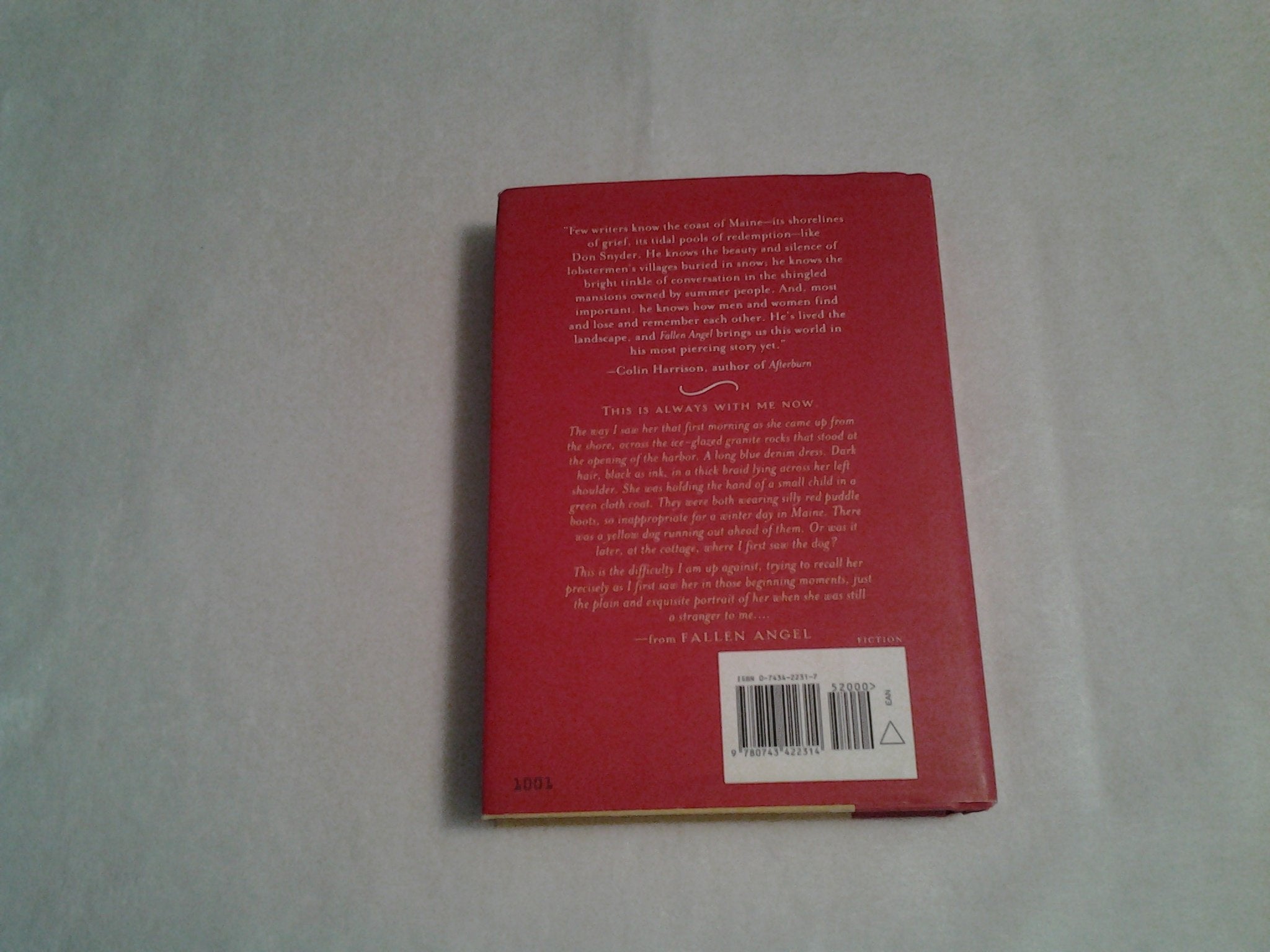 Fallen Angel: A Novel