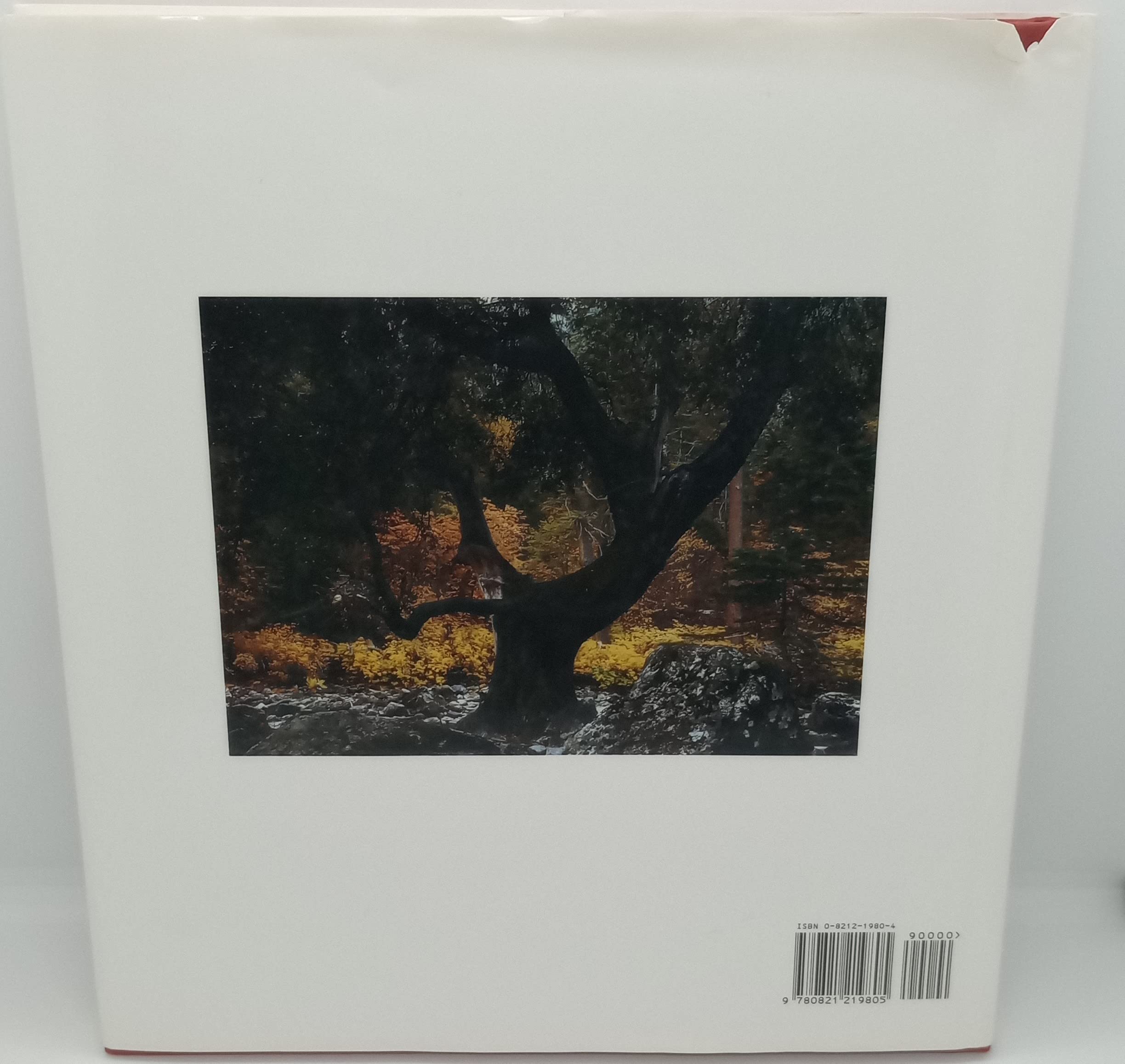 Ansel Adams in Color