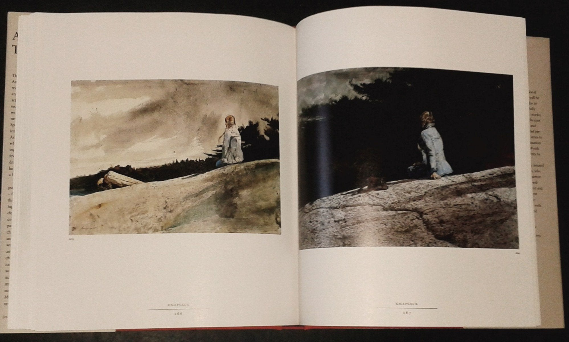 Andrew Wyeth: The Helga Pictures