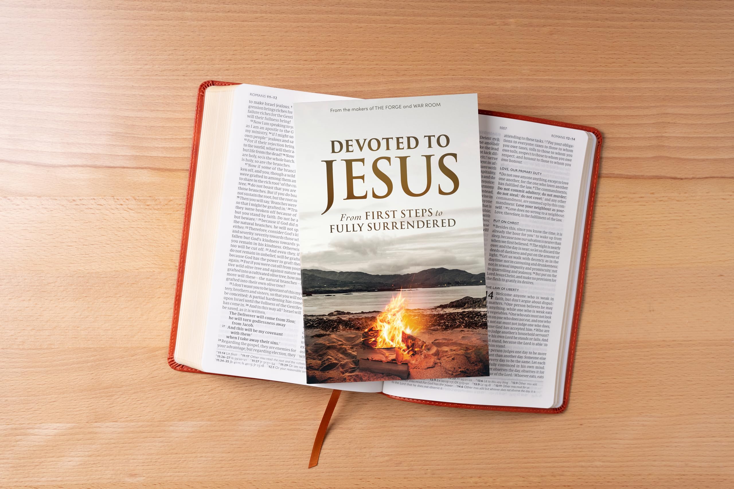 Devoted to Jesus: From First Steps to Fully Surrendered