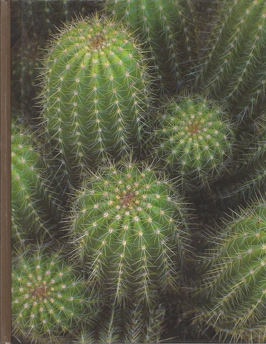 Cacti and Succulents Perl, Philip