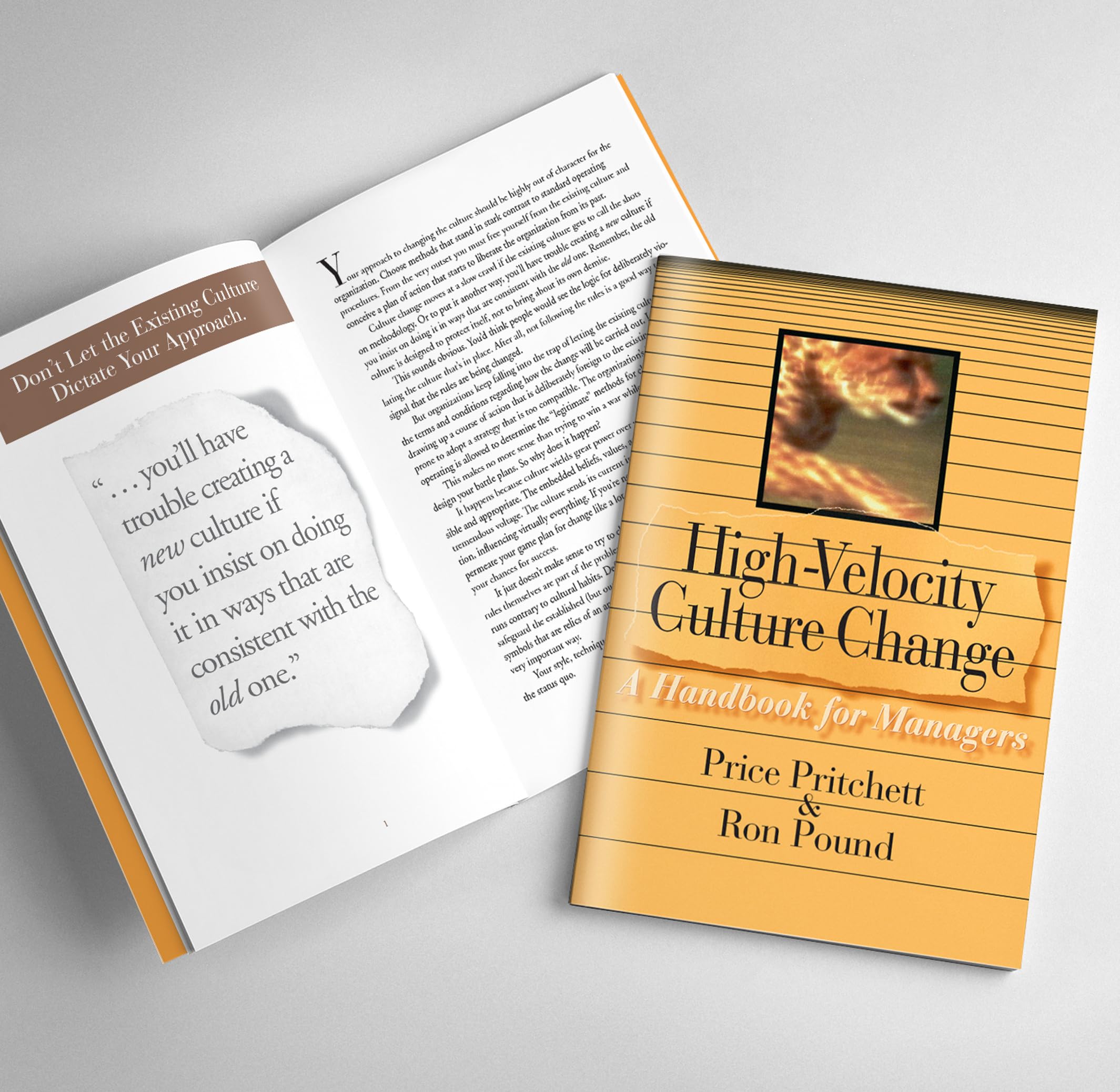 High Velocity Culture Change: A Handbook for Managers