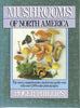 Mushrooms of North America Phillips, Roger