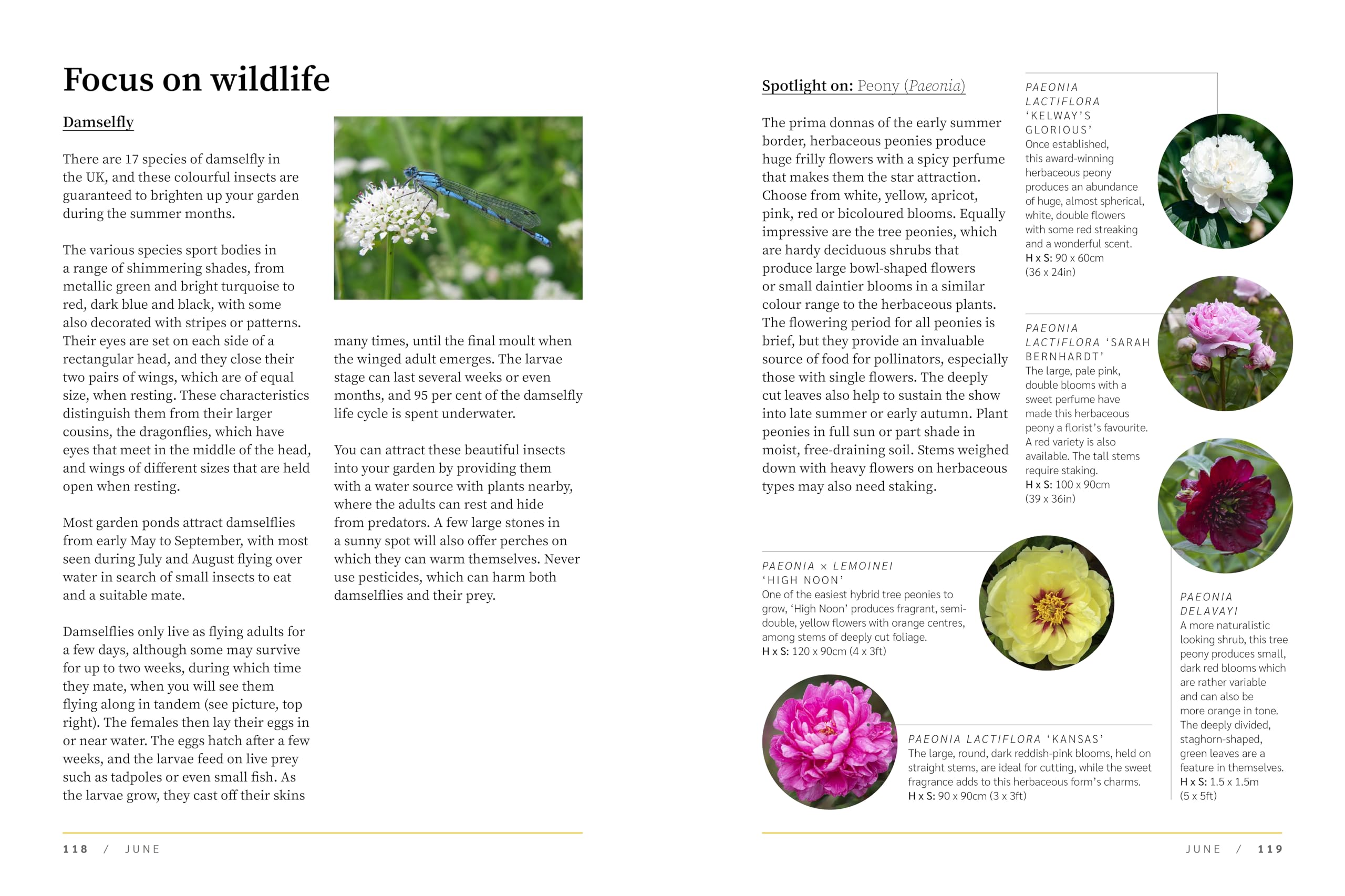 PT07