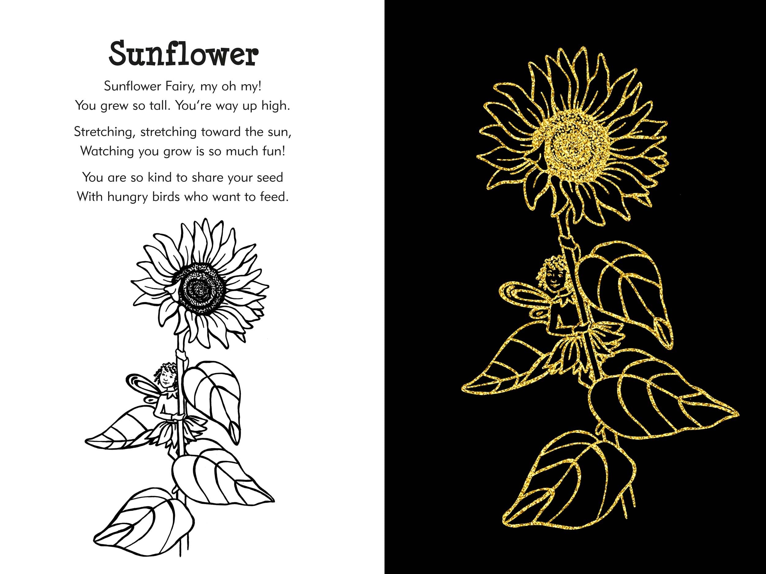 Garden Fairies Scratch and Sketch: An Art Activity for Magical Artists and Believers of All Ages (Scratch & Sketch)