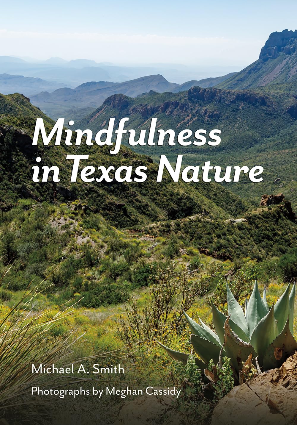 Mindfulness in Texas Nature (Gideon Lincecum Nature and Environment Series)