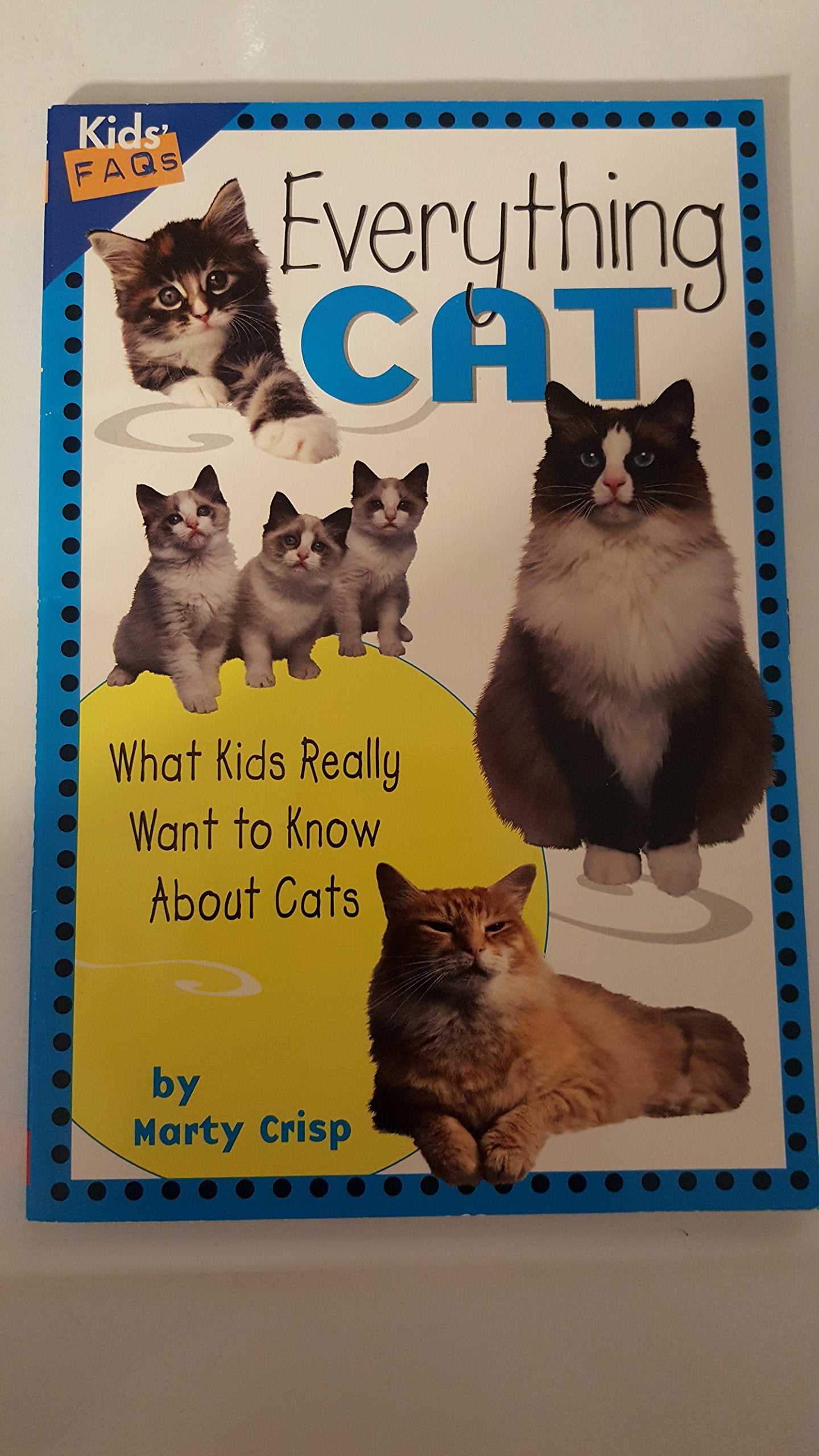 Everything Cat