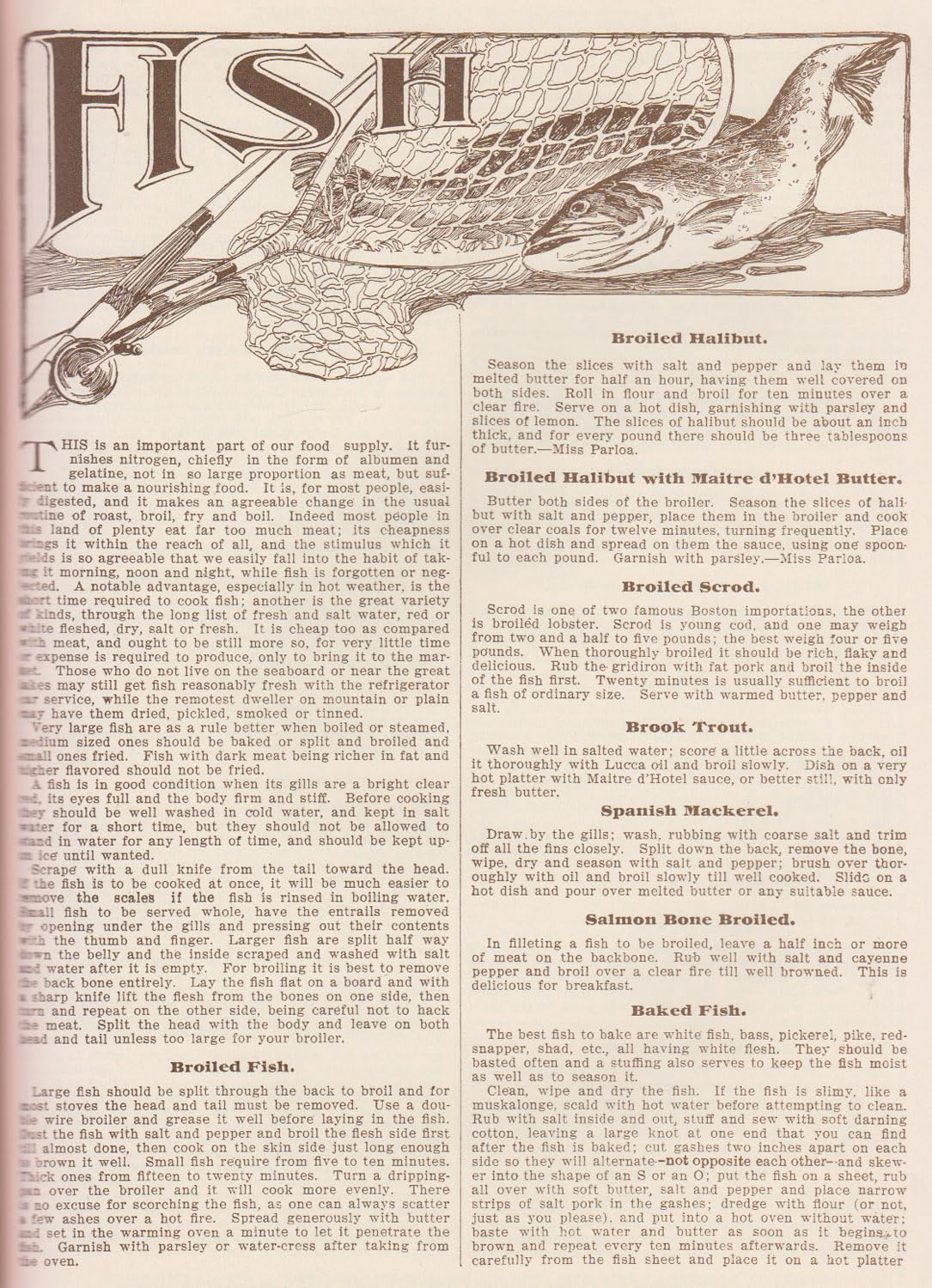 Gold Medal Flour Cook Book (Christmas 1904 Edition)