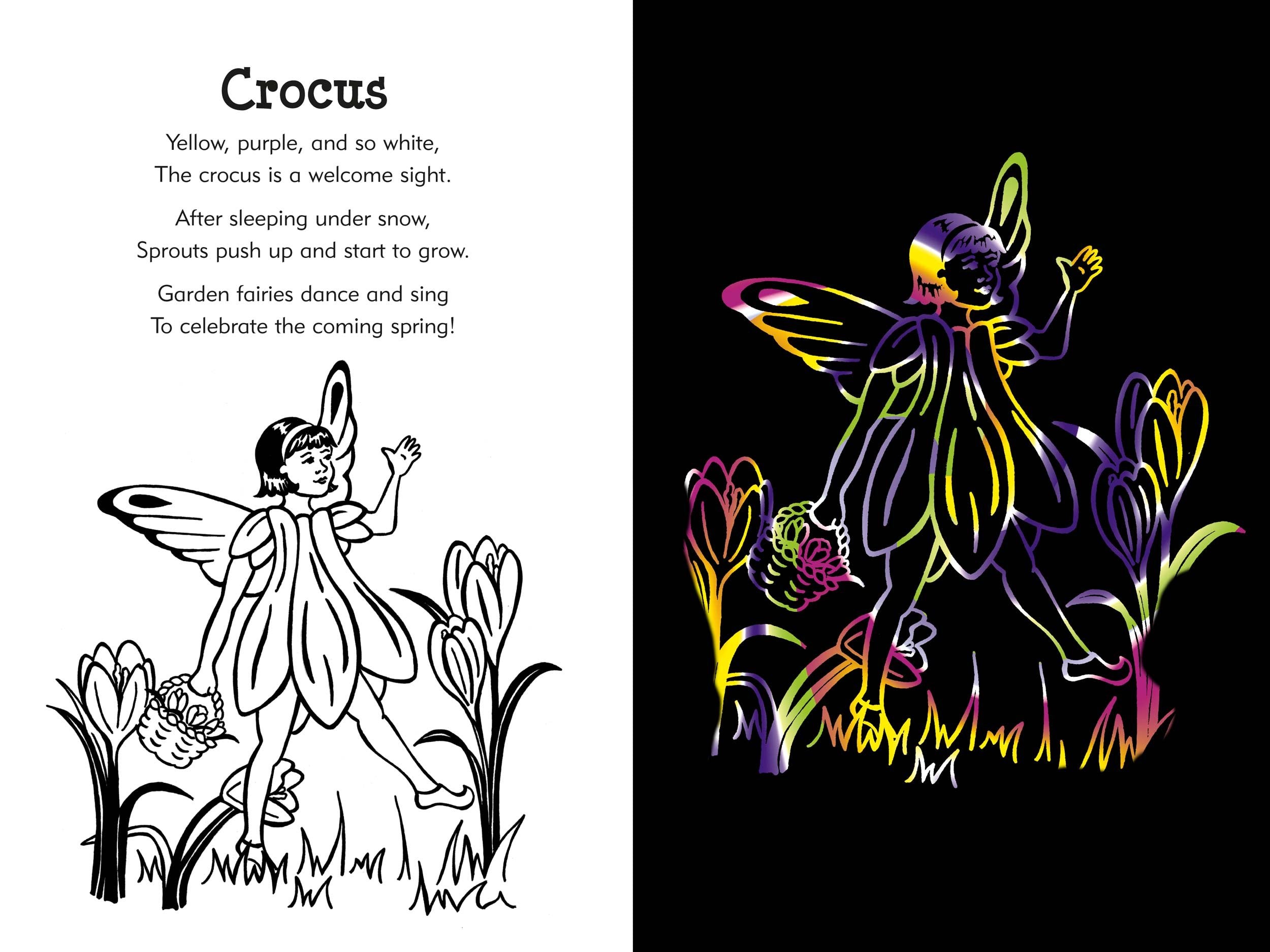 Garden Fairies Scratch and Sketch: An Art Activity for Magical Artists and Believers of All Ages (Scratch & Sketch)