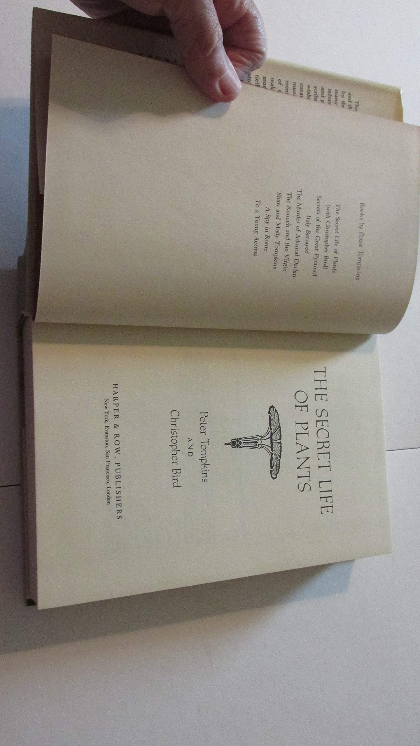 PT01