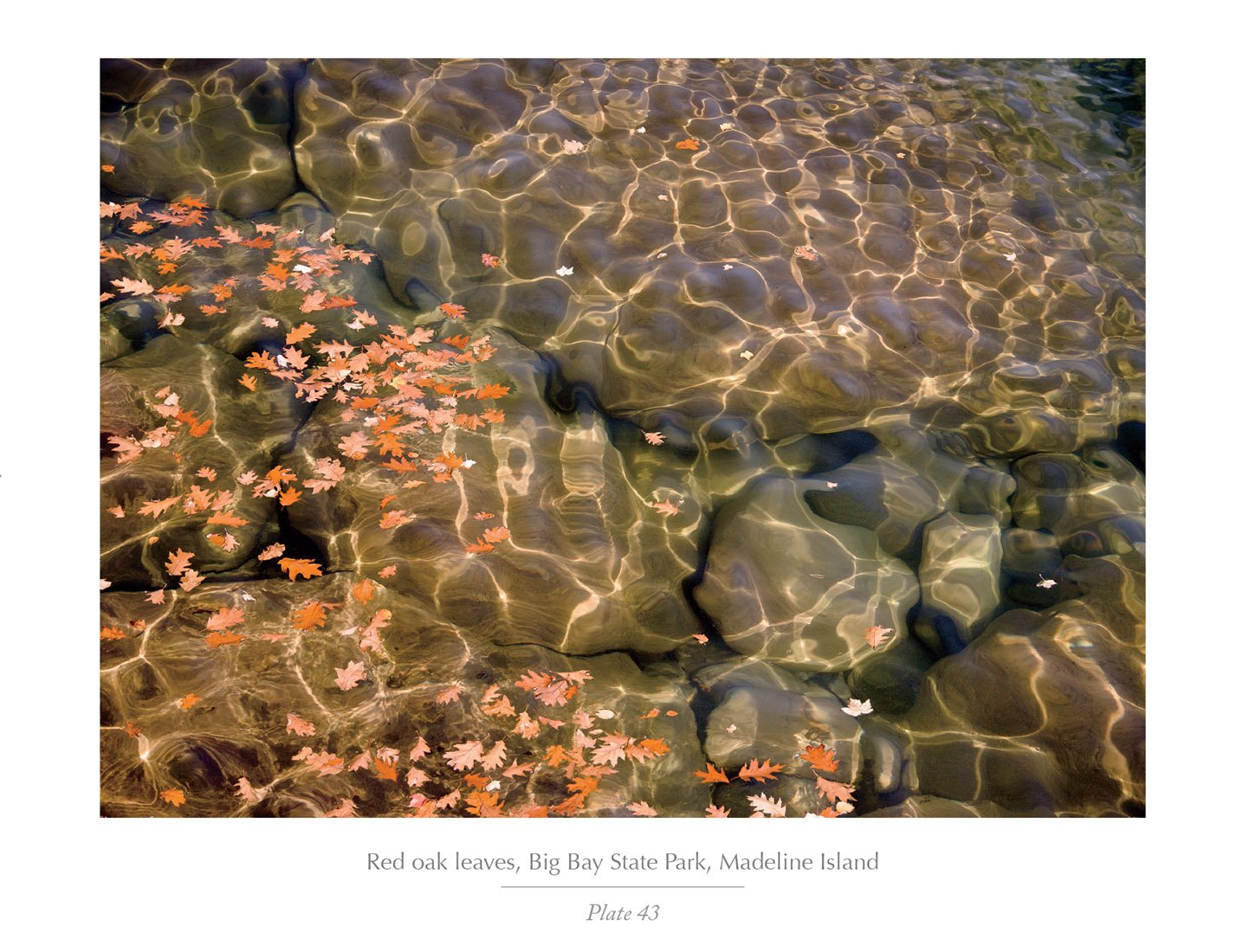 Apostle Islands (Souvenir Edition): From Land and Sea