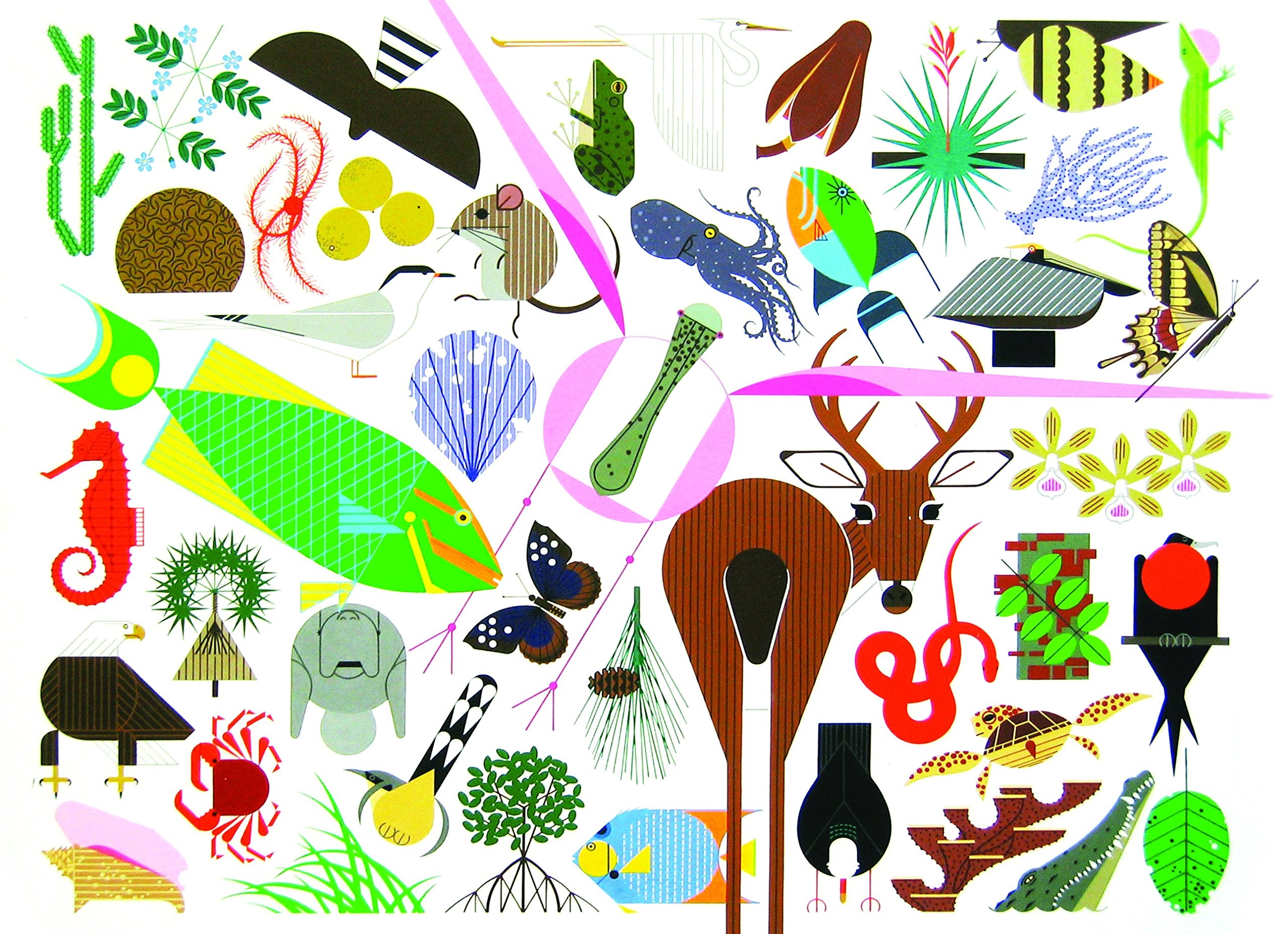 Charley Harper's Animal Kingdom: popular edition