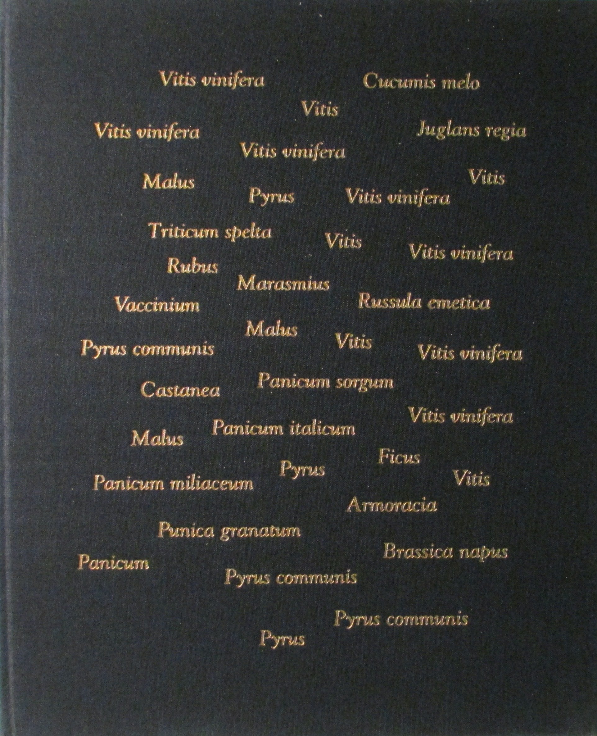 PT02