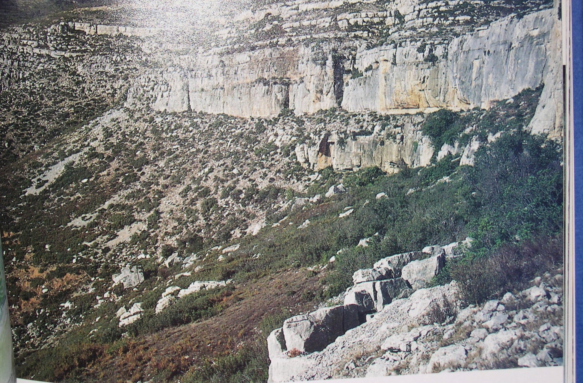 PT07