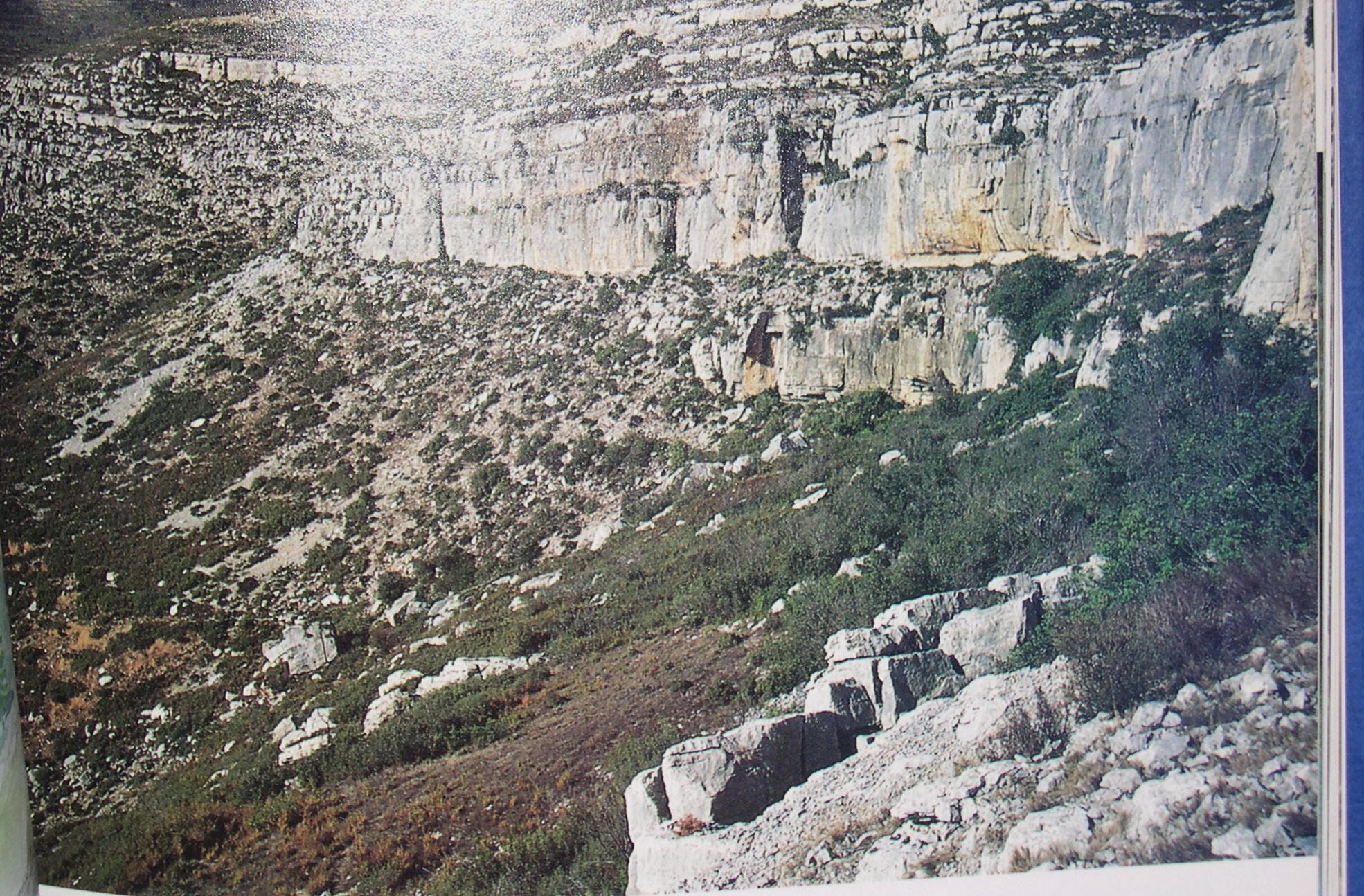 PT07