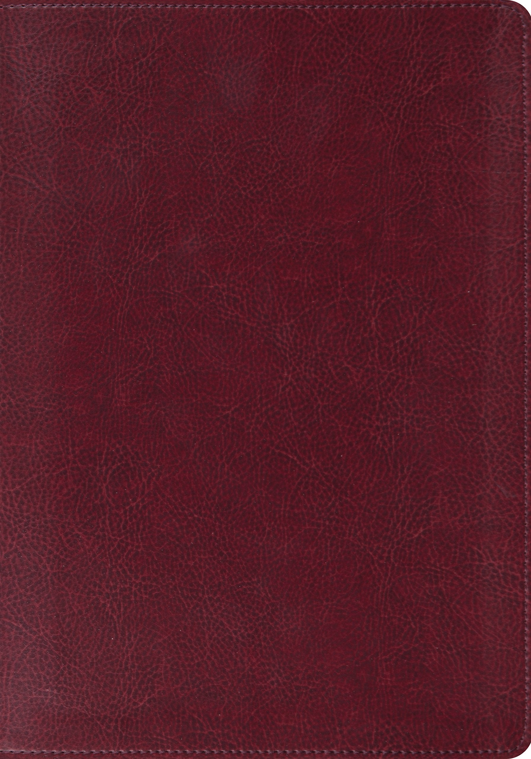 MAIN