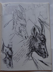 HOW TO DRAW (New Edition): Butterflies, Flowers, Trees, Shrubs, Boats, Animals, Birds, Landscapes, Still-life, Heads, Hands, Lettering (Walter Foster's How to Draw Books, 2)