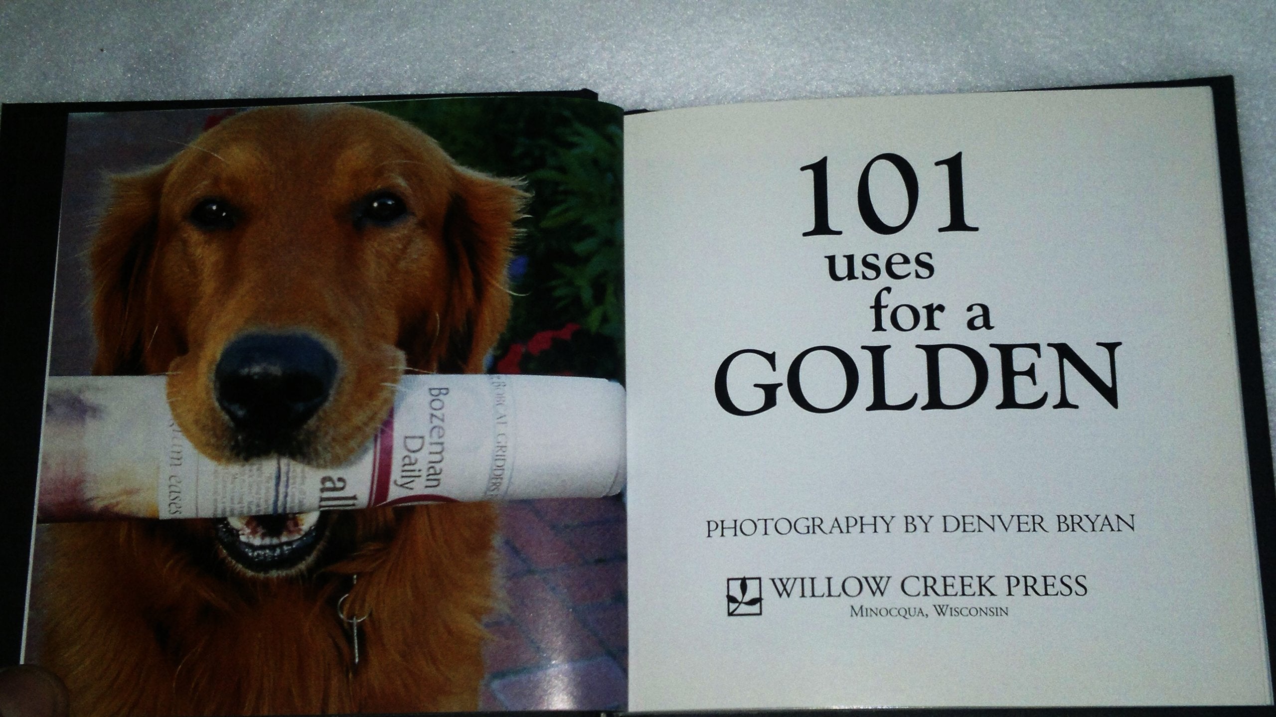 101 Uses for a Golden Retriever